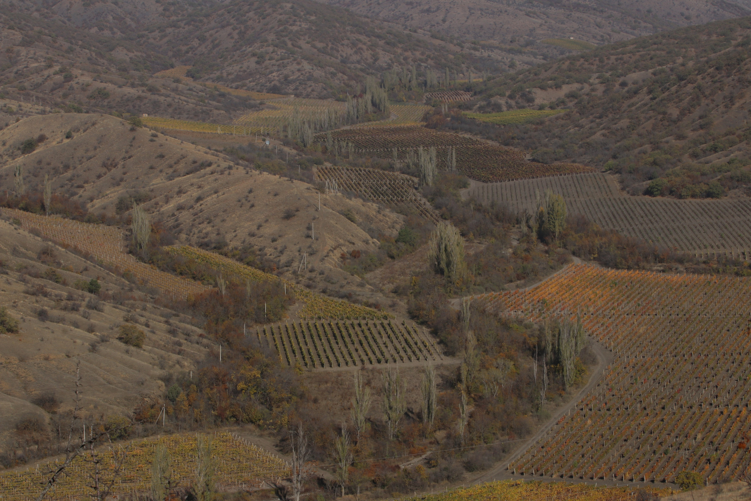 Крым. ЮБК (Гурзуф, Судак и их окрестности). Ноябрь 2023. Путешественник-фотограф из Санкт-Петербурга Татьяна Свистулина