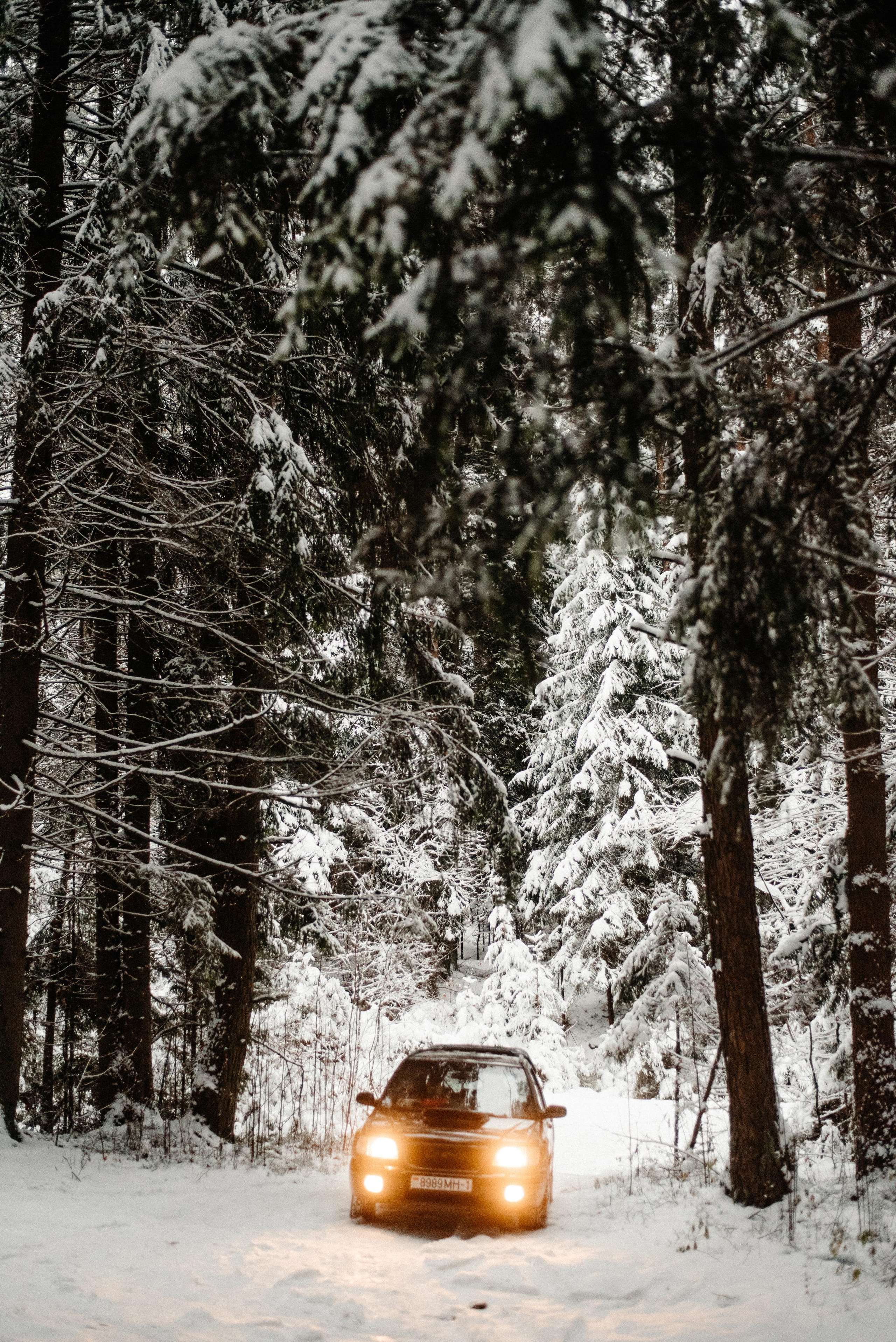 Света и Влад. Свадебный и портретный фотограф в Минске Татьяна Лобода