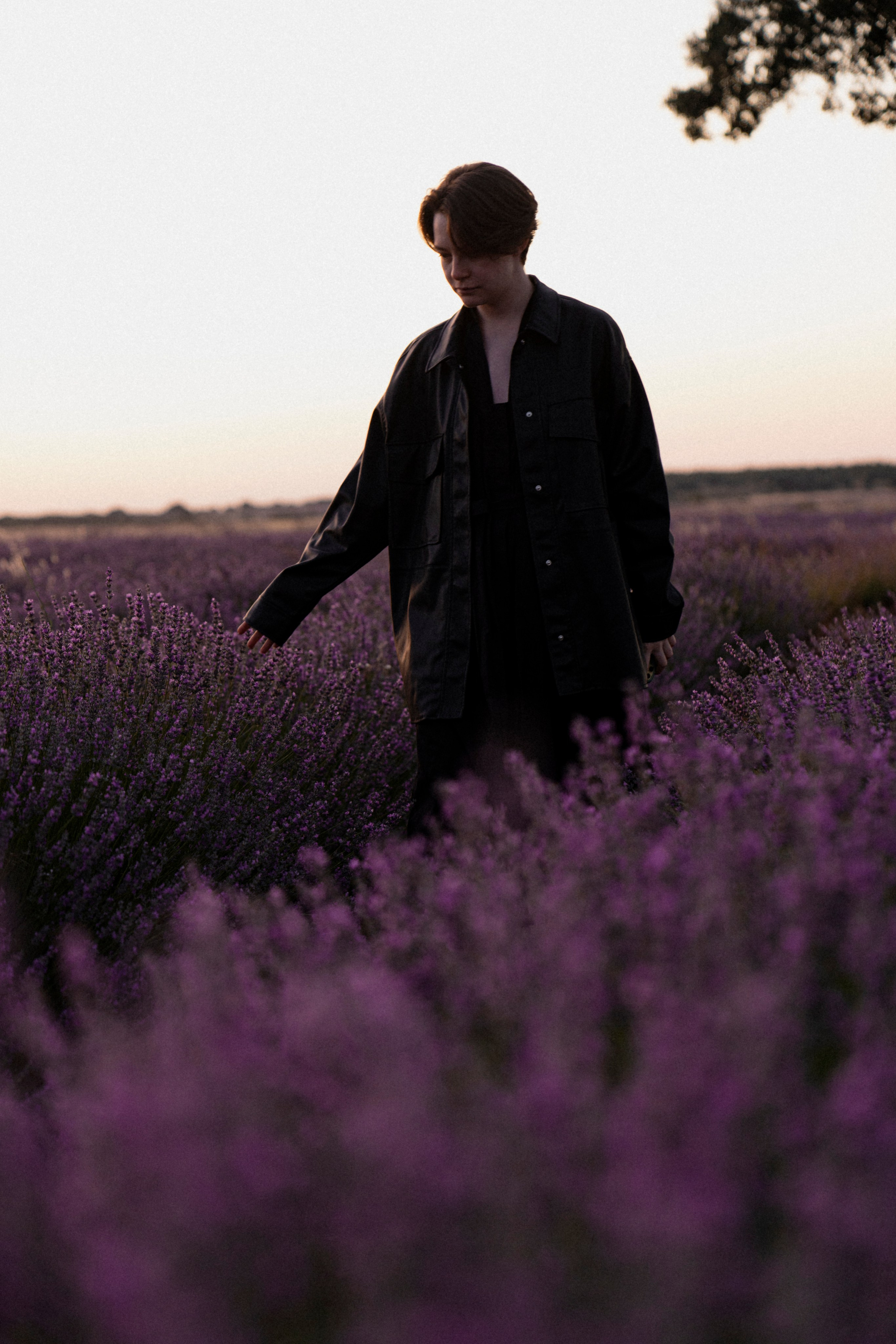 Испанский Прованс (рассвет). ...........