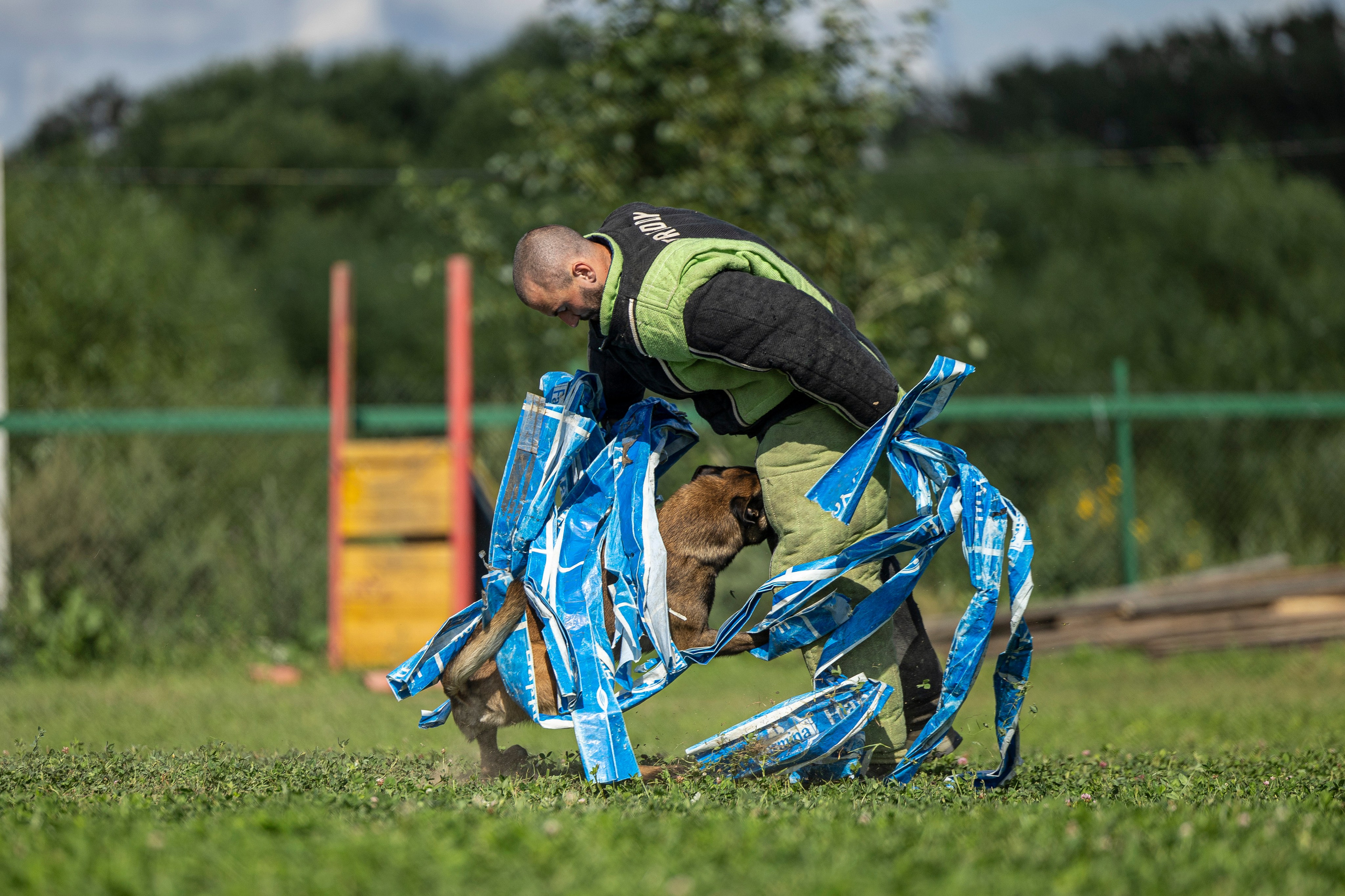 Соревнования по Мондьорингу г. Вологда 10-11.08.2024. Фотограф-анималист Анна Маринич