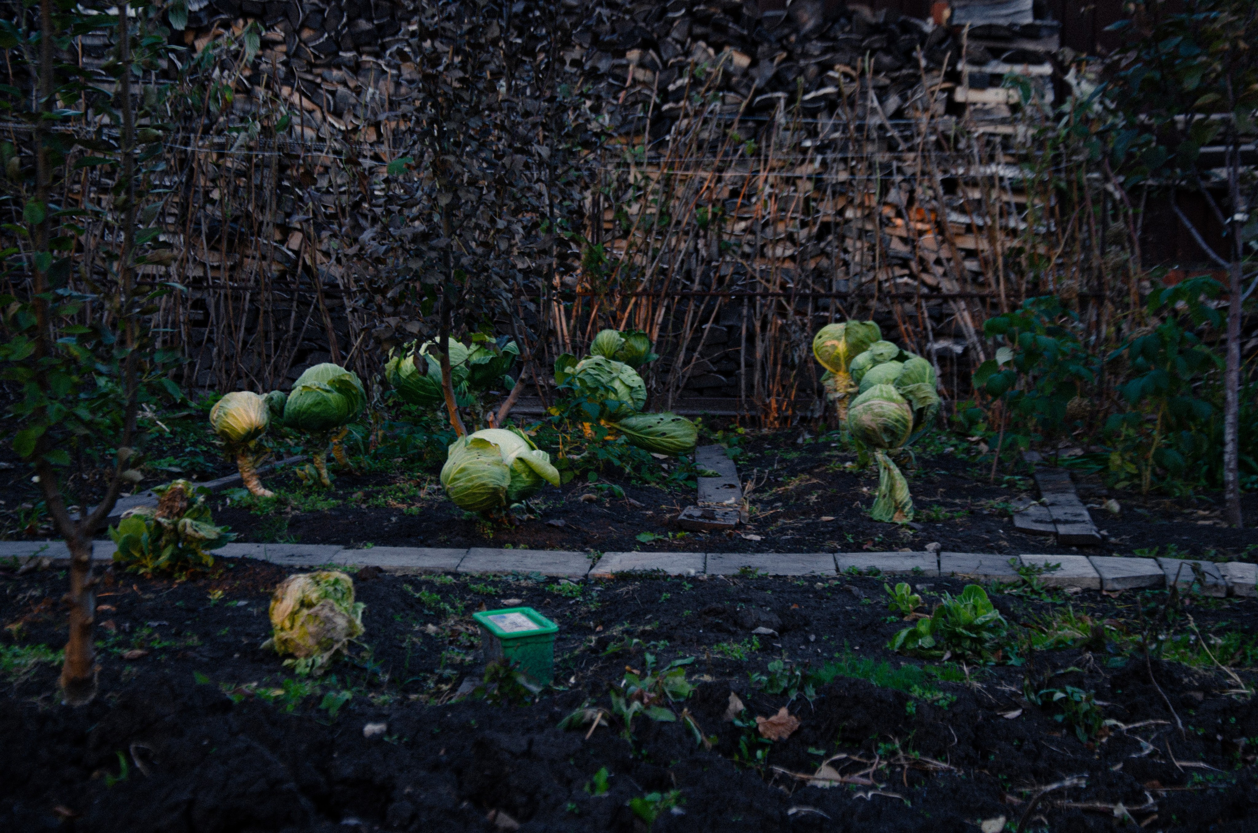 Осенняя фотопрогулка. Фаниса Портретный фотограф в Тюмени