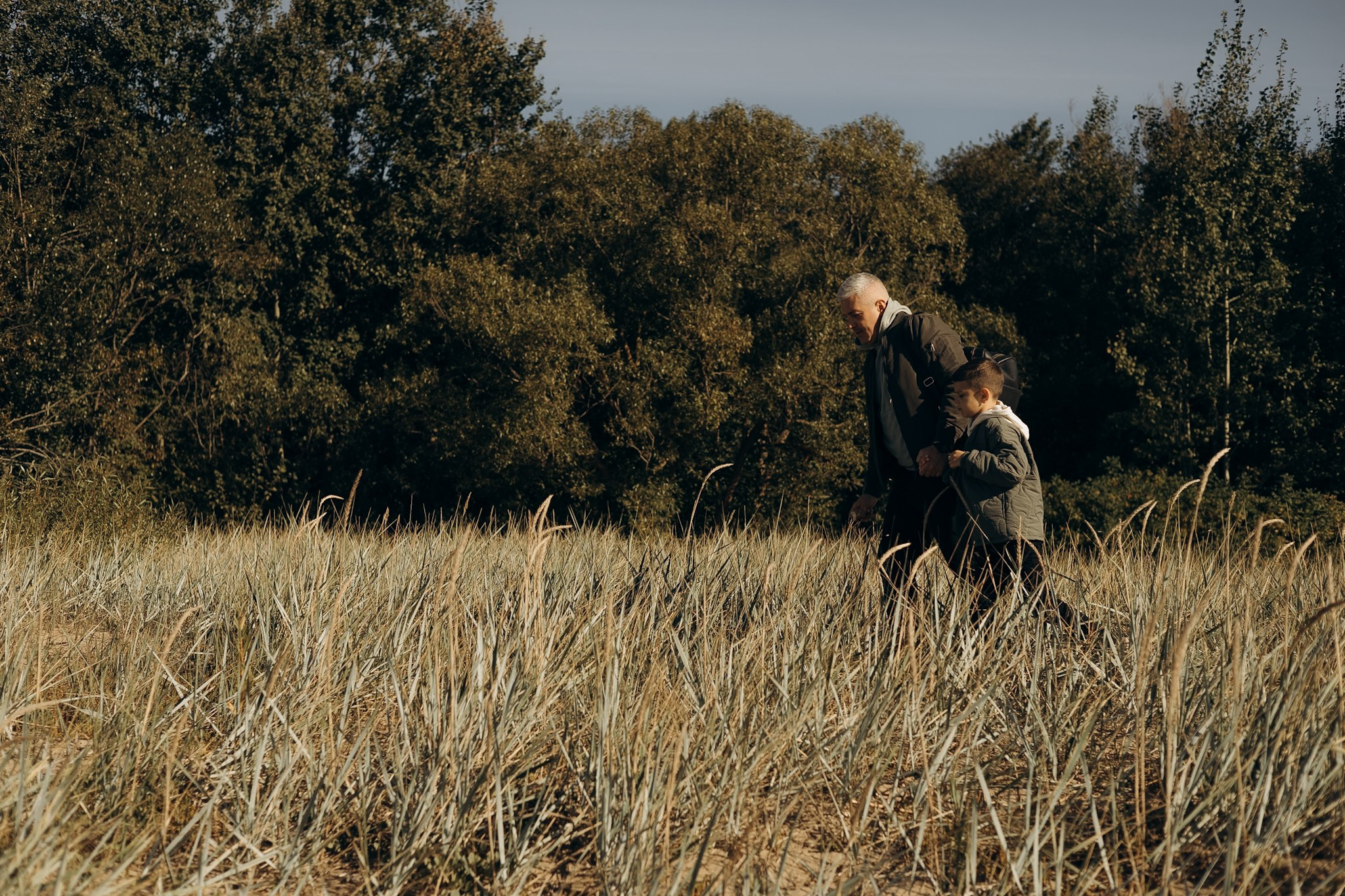 Тынарифе. Главная