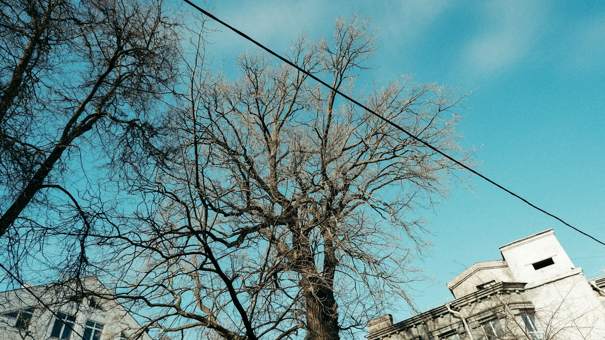 Natasha x Fuji. Фотограф Нижний Новгород