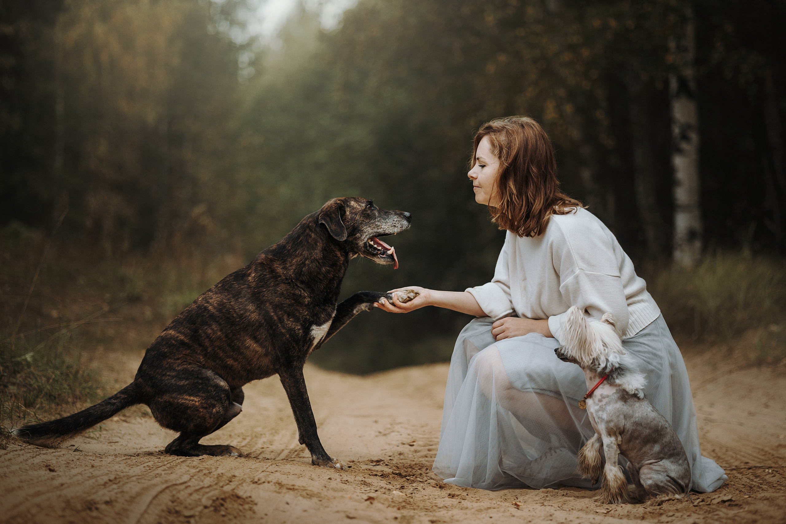 Любовь и ее хвостики. Фотограф — Анималист | Санкт-Петербург