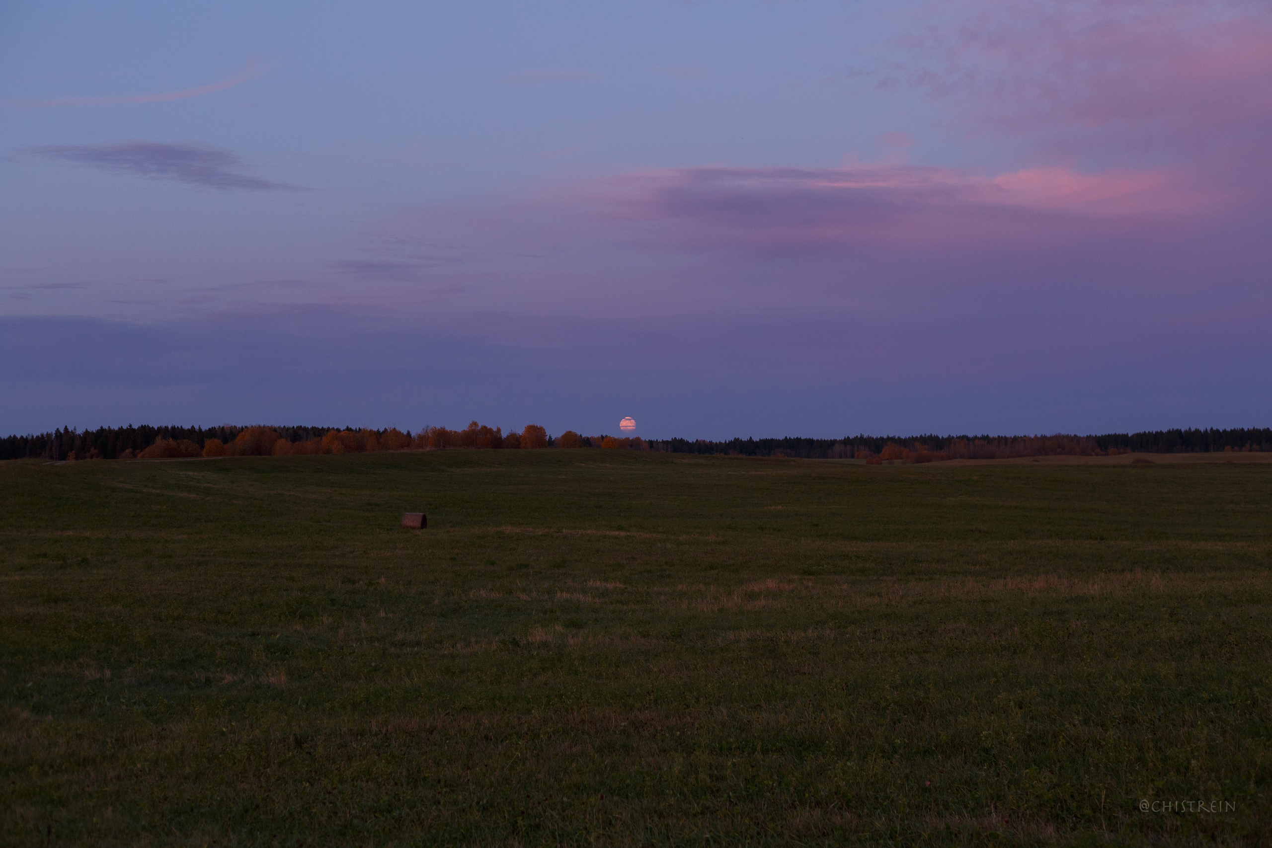 Октябрьский закат в полях. Алина и Лео. Фотограф-анималист Наталия Чистюхина в г. Сосновый Бор и ЛО