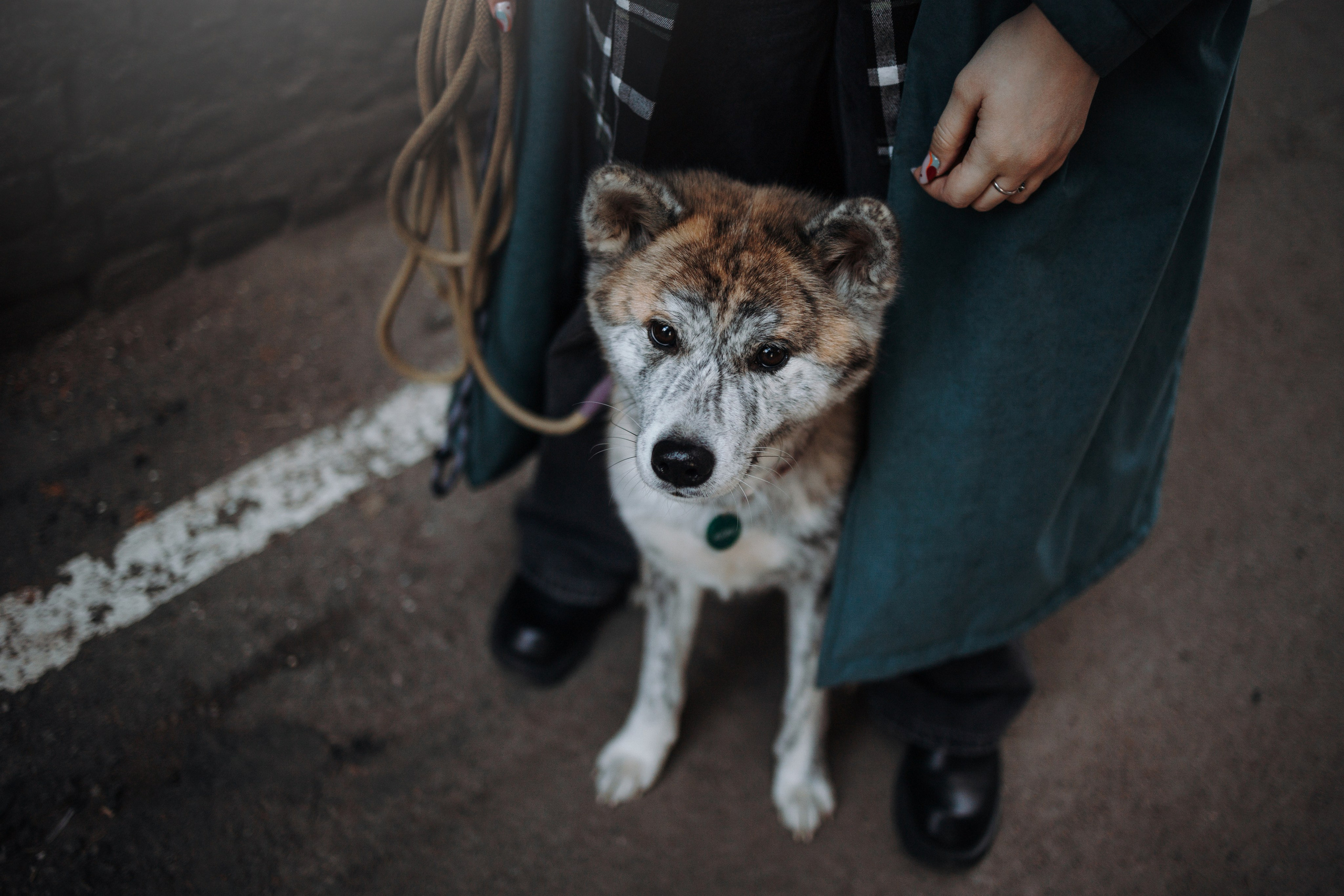 Настя и Айри. Фотограф — Анималист | Санкт-Петербург