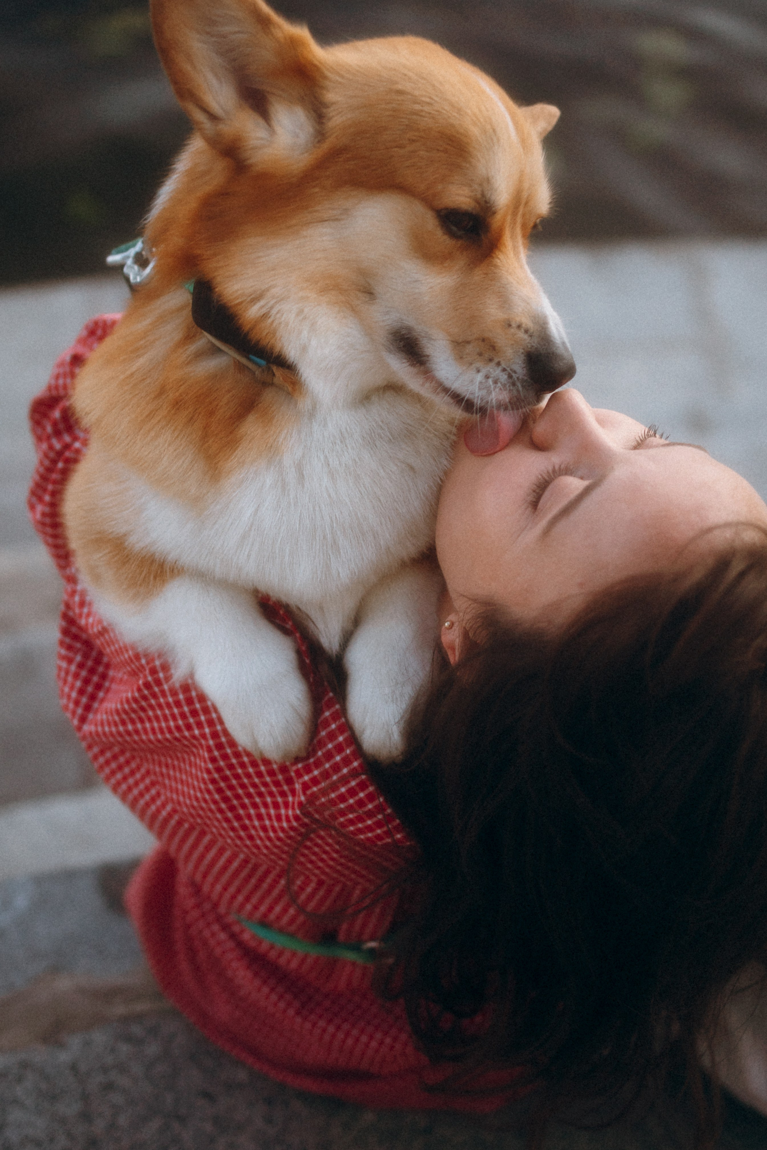 Момо, Люда и Эд. Фотограф анималист Анастасия Пикей