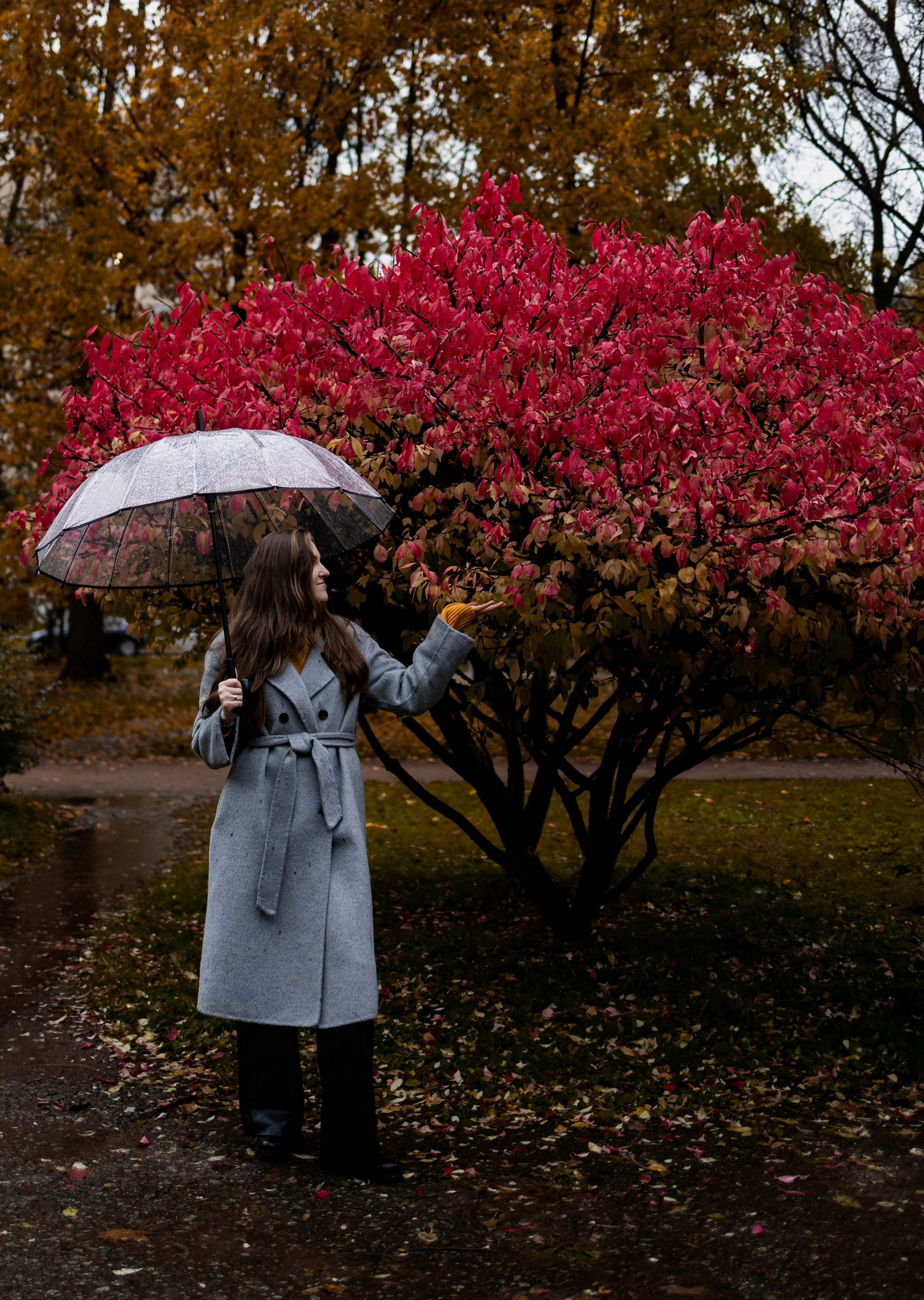 Марина. Индивидуальный и парный фотограф в Санкт-Петербурге Юлия Поротникова