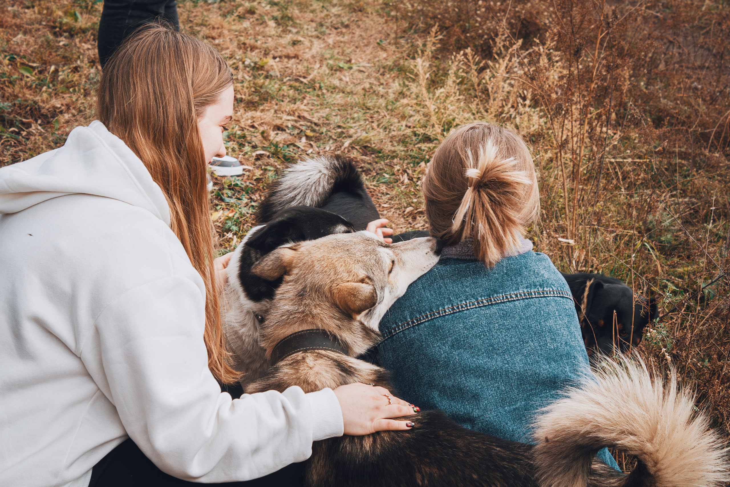 Фотографии Горного Алтая. Фотограф в Новокузнецке