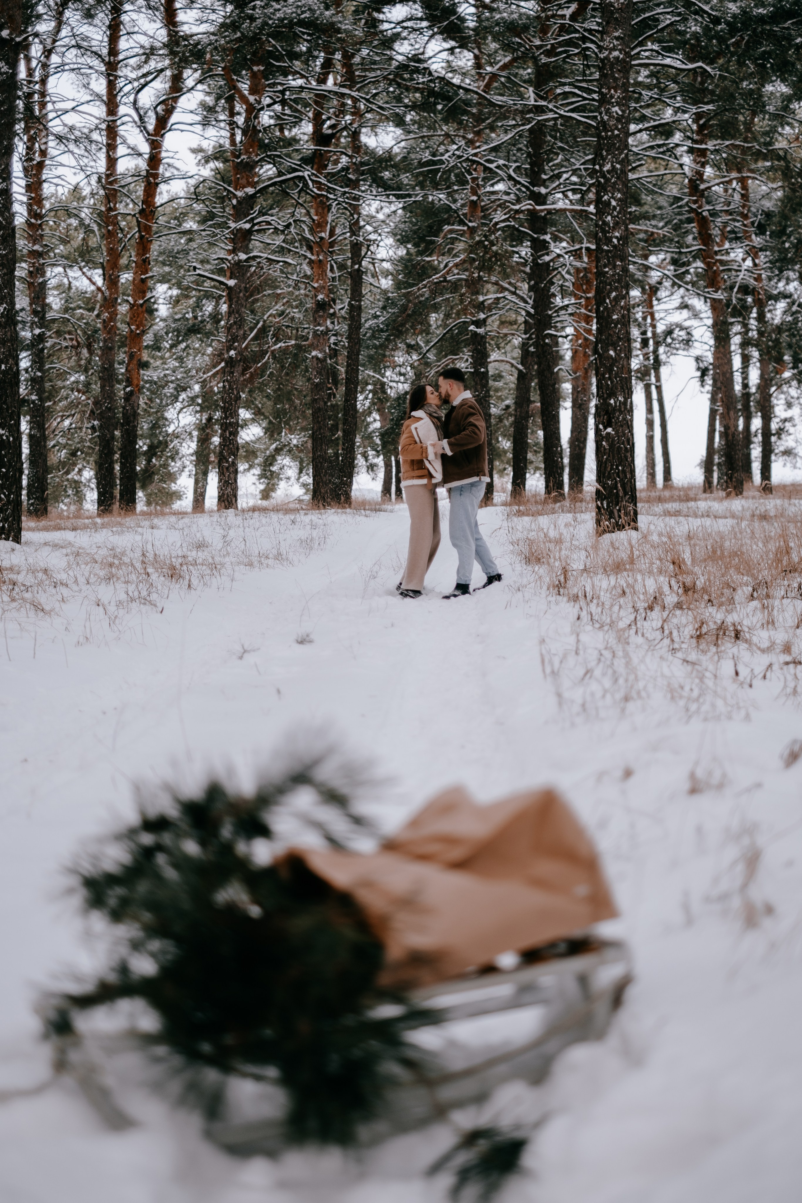 Звенит январская вьюга!. Photographer Victoria Slavnova