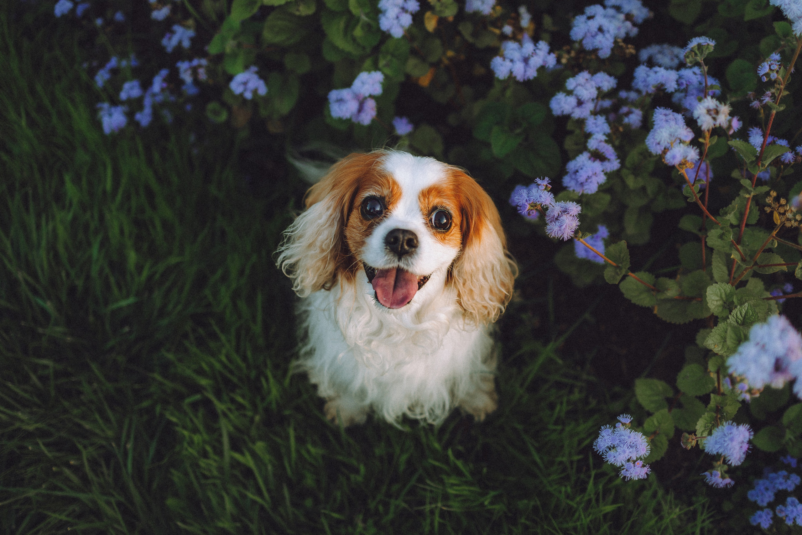 Наташа и Вики
