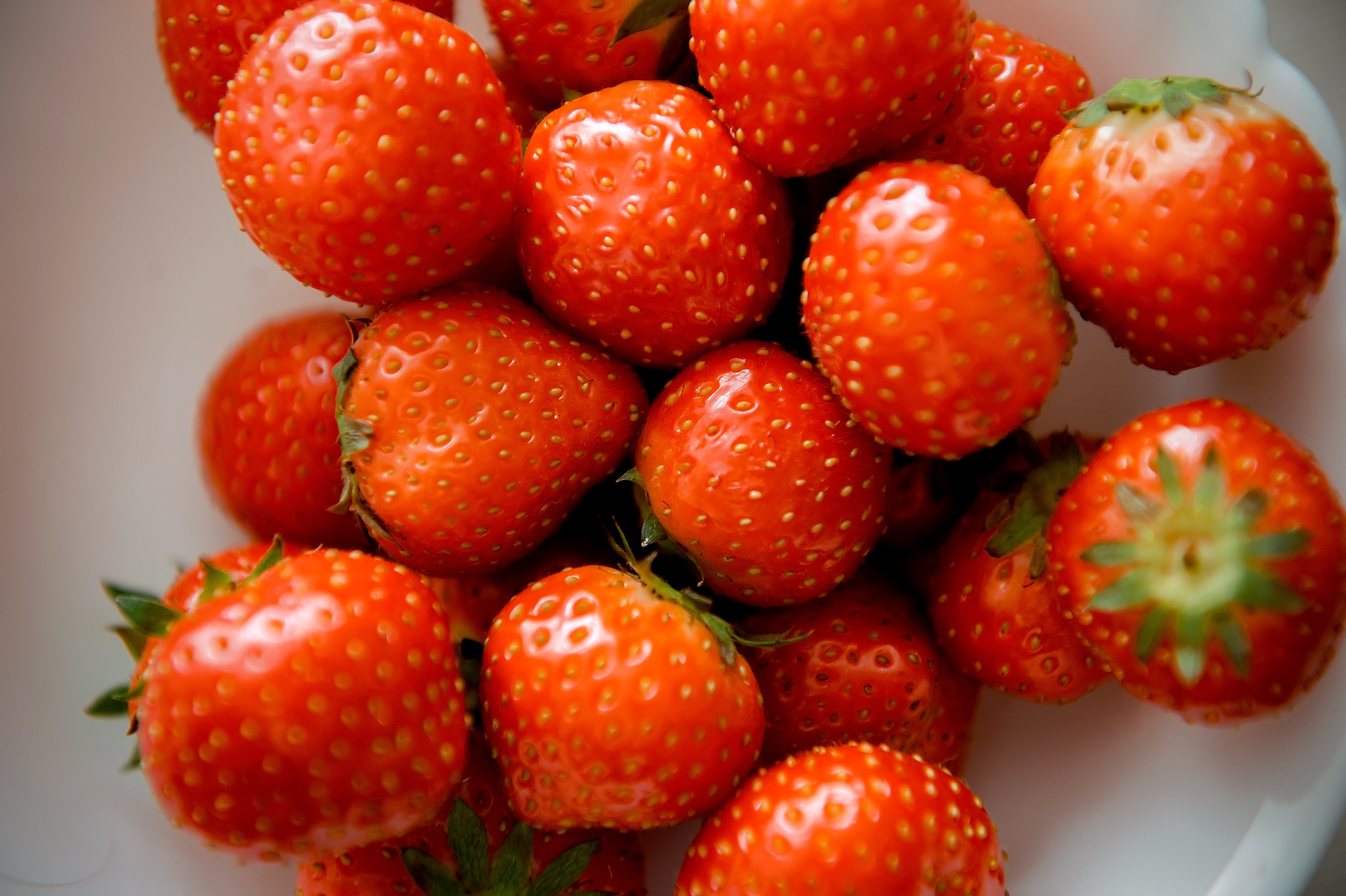 Анастасия, кондитер, Щёлково. Свадебный и семейный фотограф Виктория Носачёва. Щелково, Москва и МО