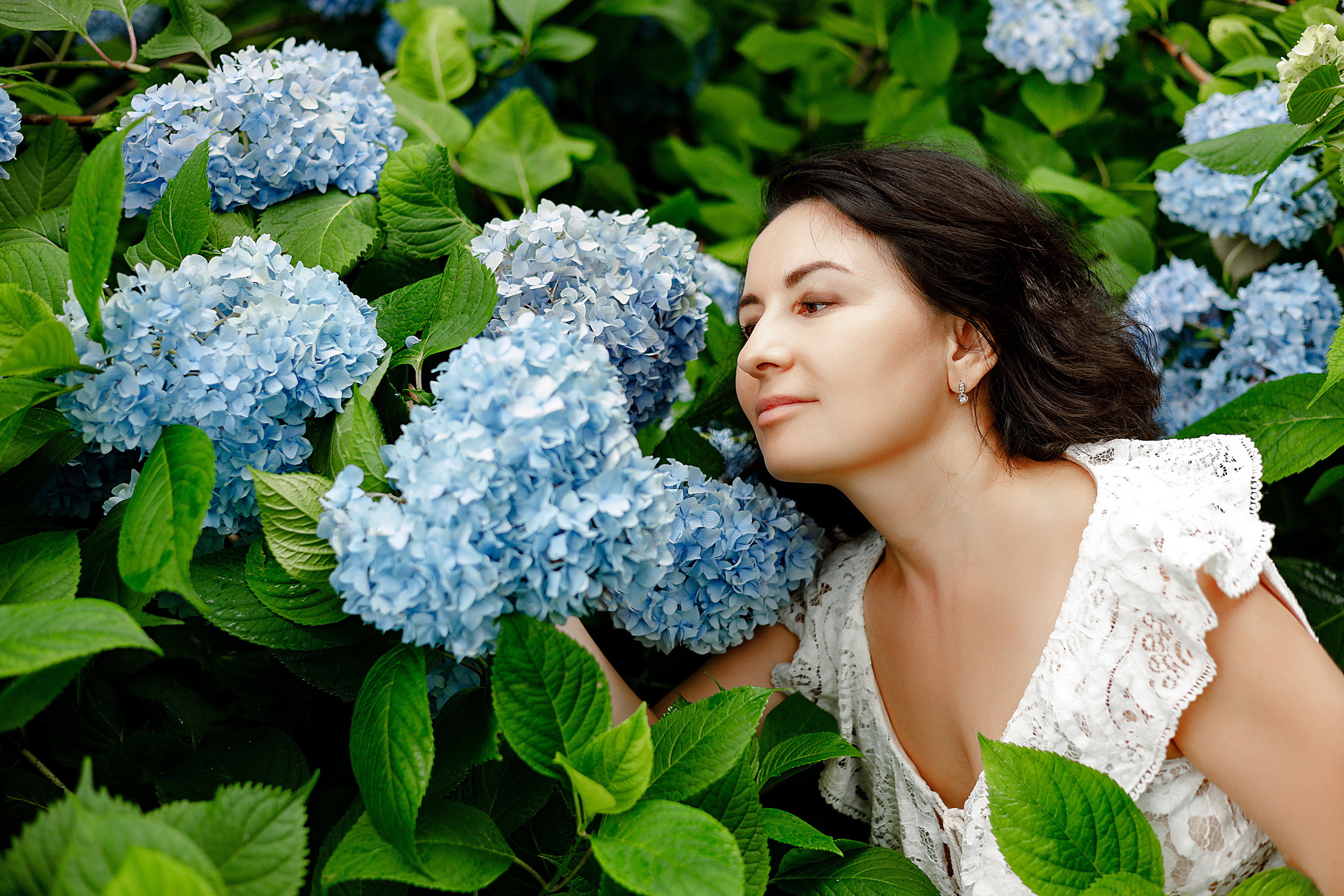 Мечта и гортензии. Фотограф в Санкт-Петербурге Знаменская Ирина