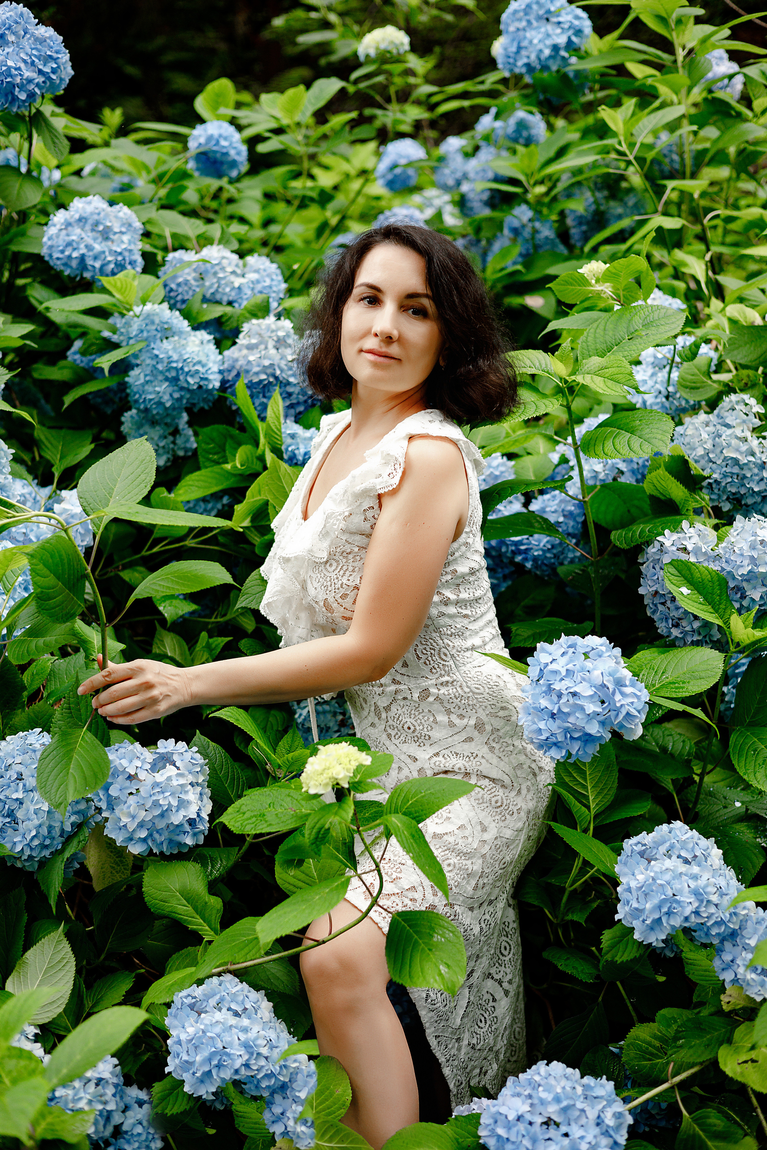 Мечта и гортензии. Фотограф в Санкт-Петербурге Знаменская Ирина
