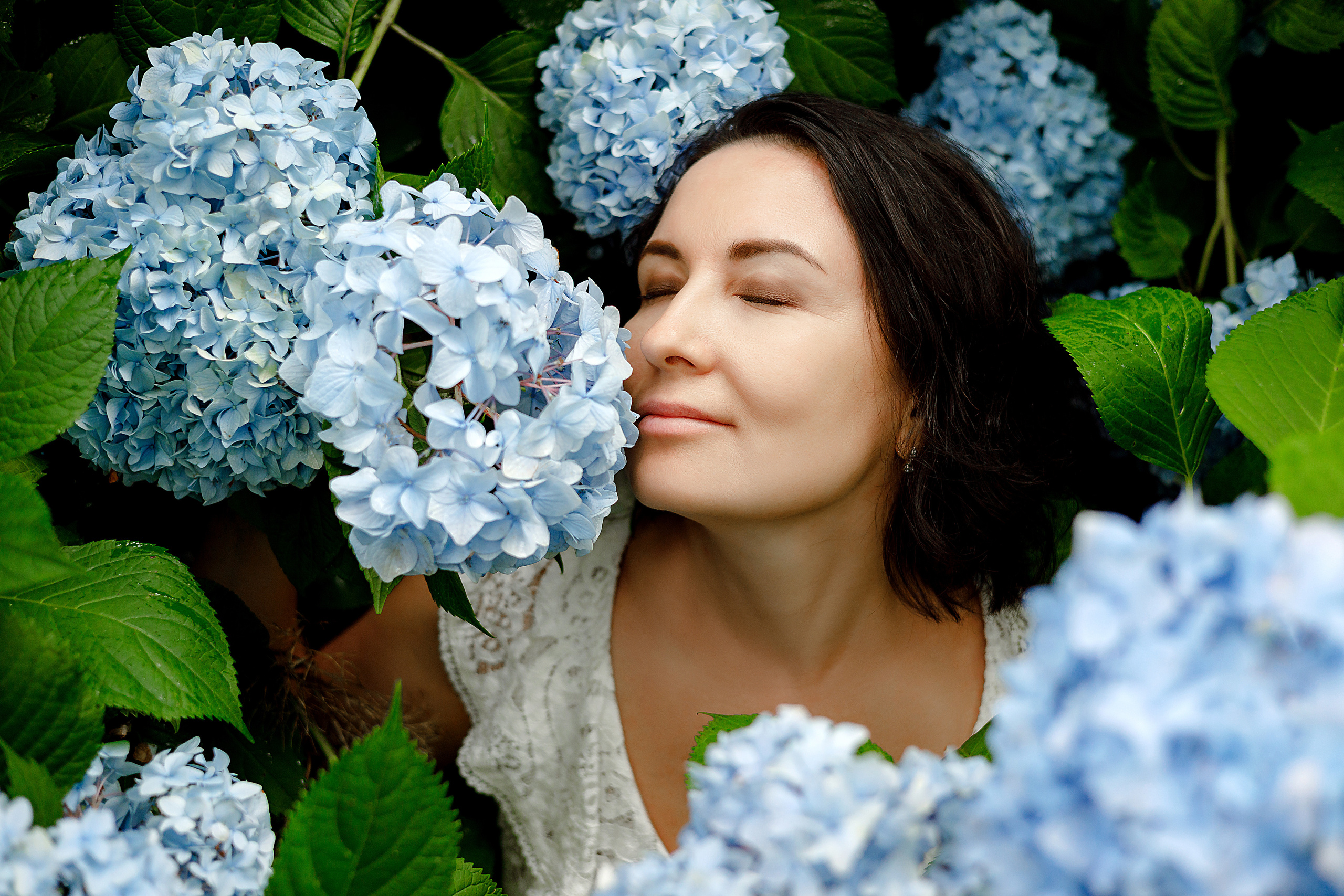 Мечта и гортензии. Фотограф в Санкт-Петербурге Знаменская Ирина