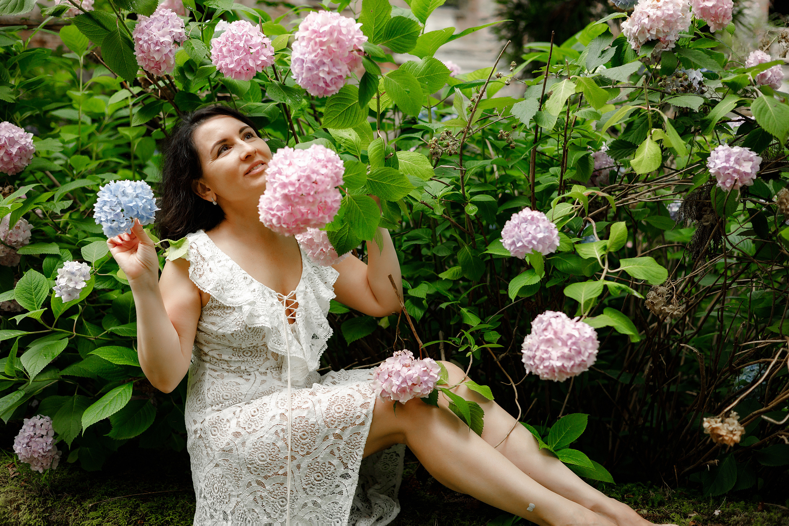 Мечта и гортензии. Фотограф в Санкт-Петербурге Знаменская Ирина
