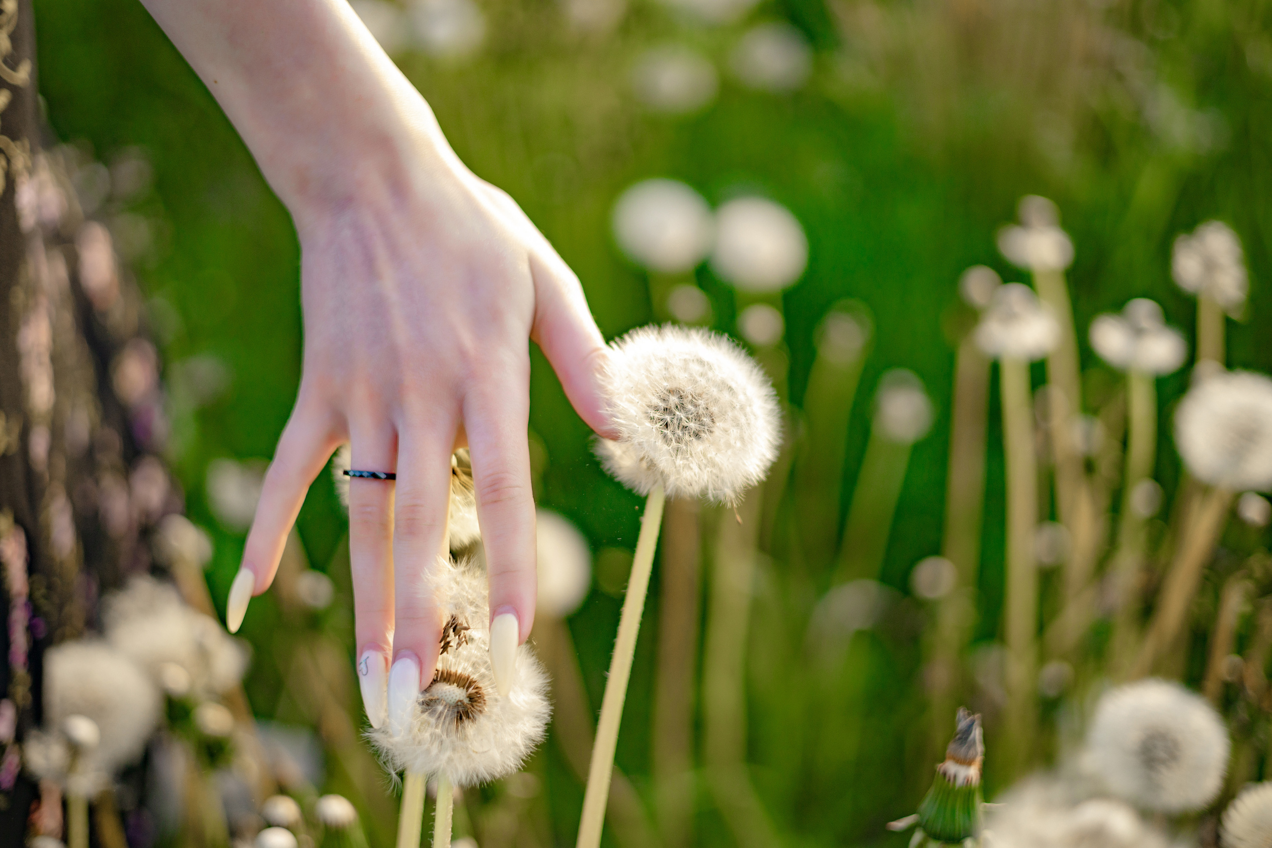 Пушистая история. Фотограф в Санкт-Петербурге Знаменская Ирина