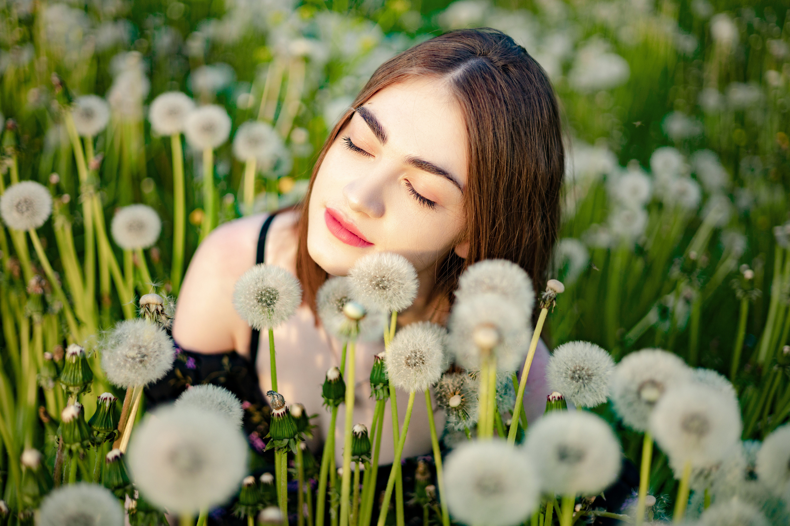 Пушистая история. Фотограф в Санкт-Петербурге Знаменская Ирина