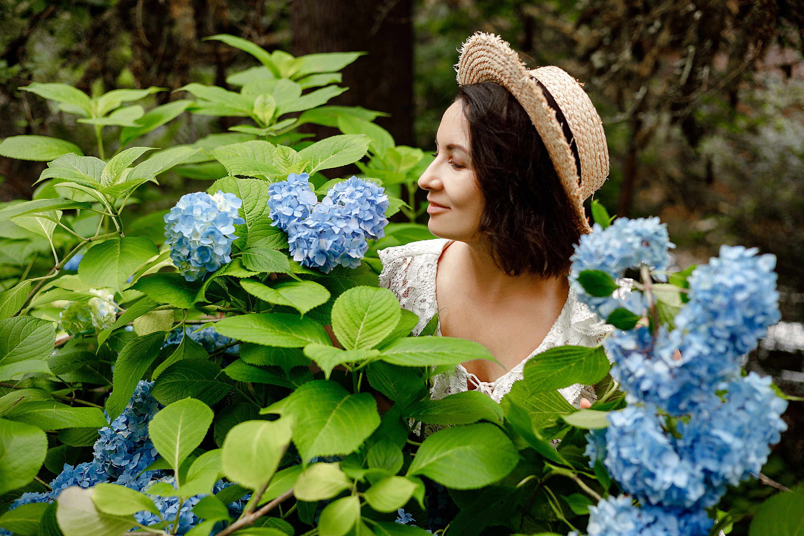 Мечта и гортензии. Фотограф в Санкт-Петербурге Знаменская Ирина