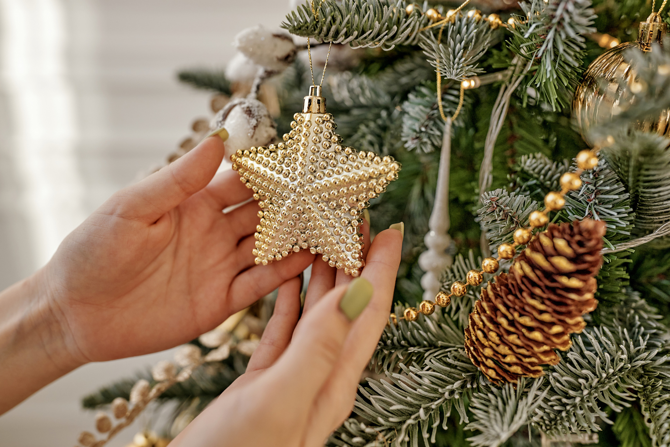 Счастливый новый год!. Фотограф в Санкт-Петербурге Знаменская Ирина