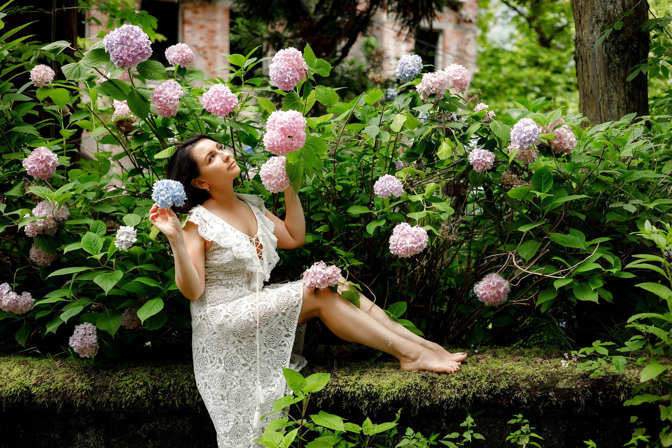 Мечта и гортензии. Фотограф в Санкт-Петербурге Знаменская Ирина