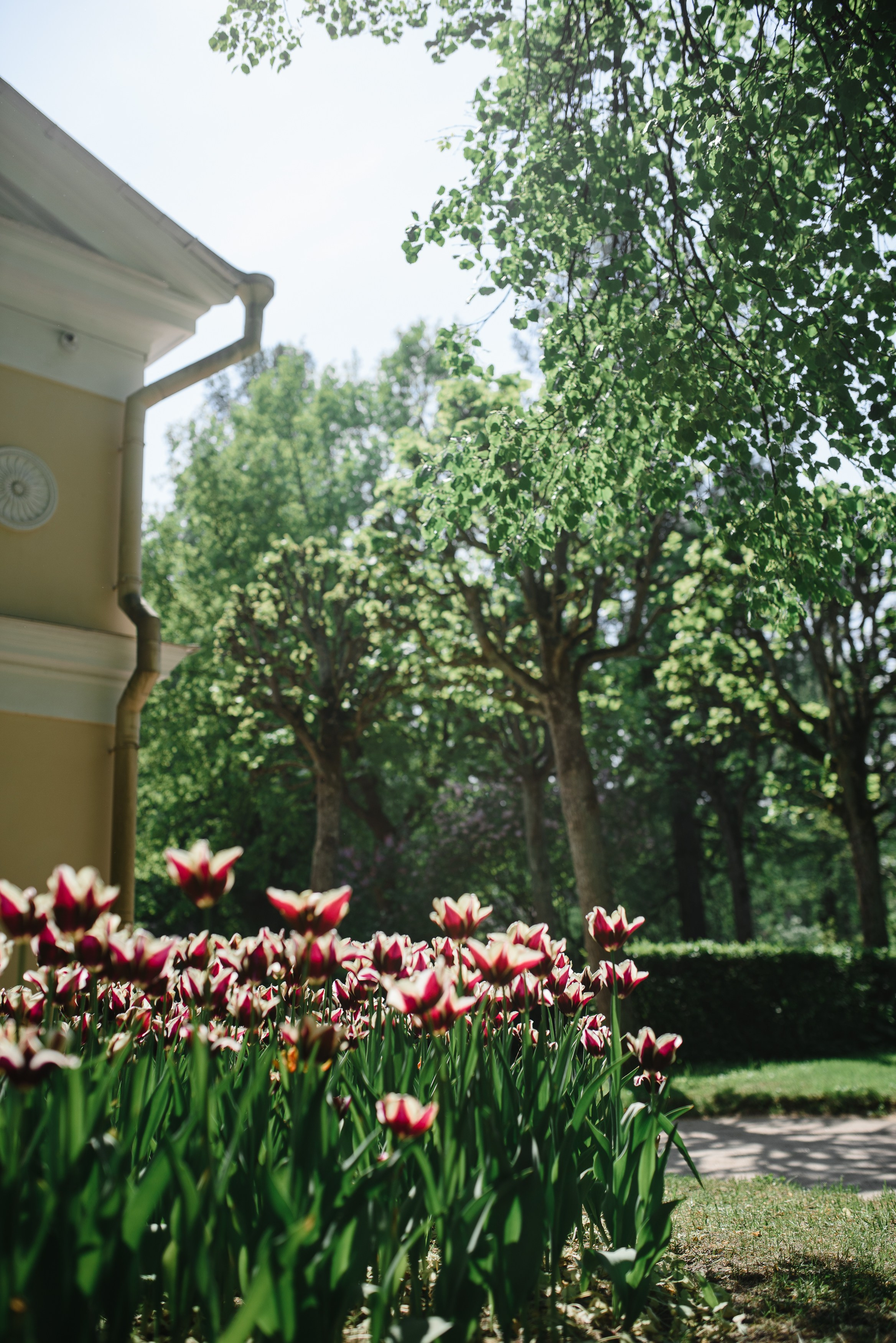 Игорь, Мила и Михаил Игоревич, домашняя история. Фотограф Денис Неместо, портрет, репортаж