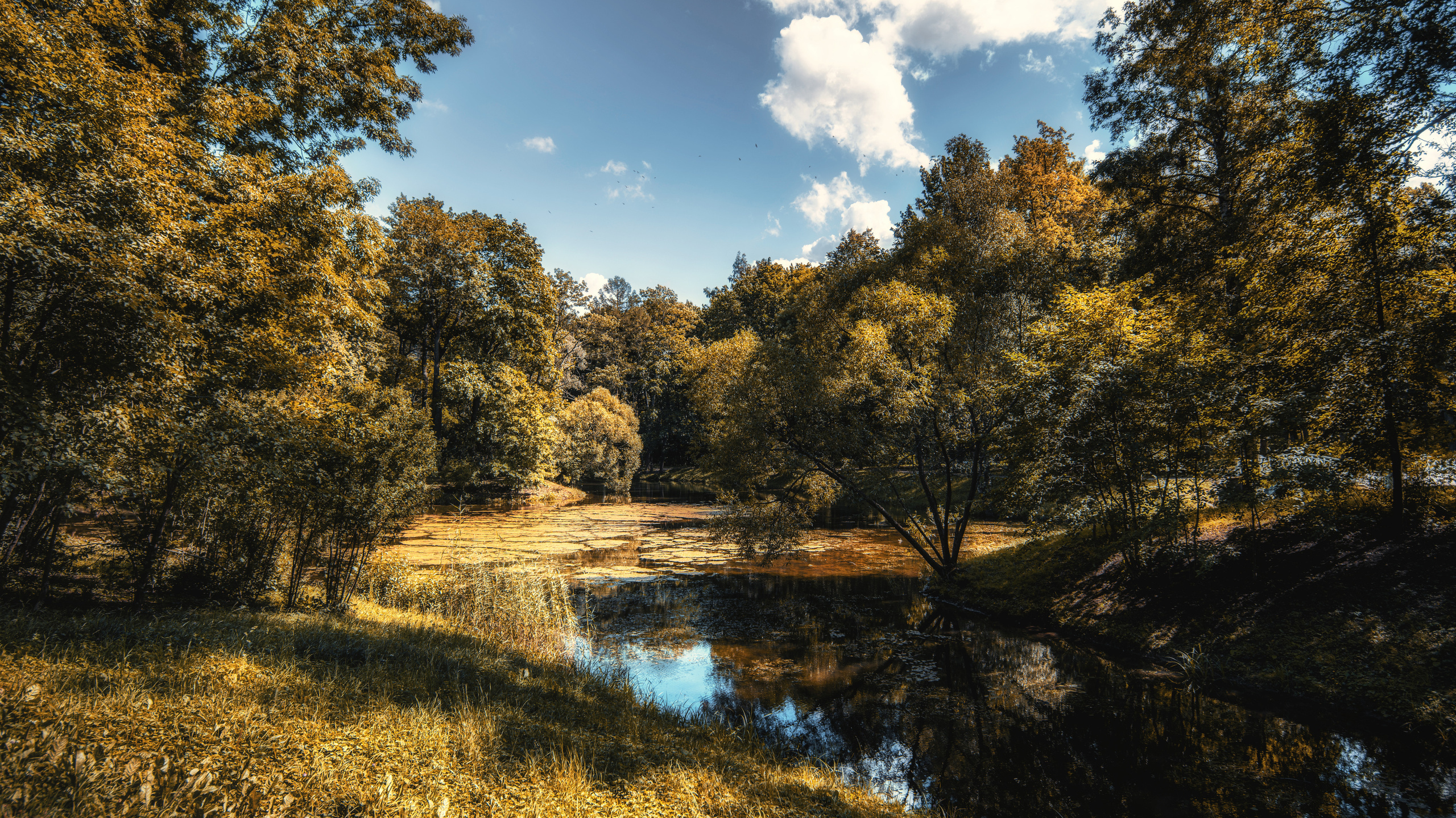 Царское село. Пейзажный и семейный фотограф в Санкт-Петербурге Александр Белов