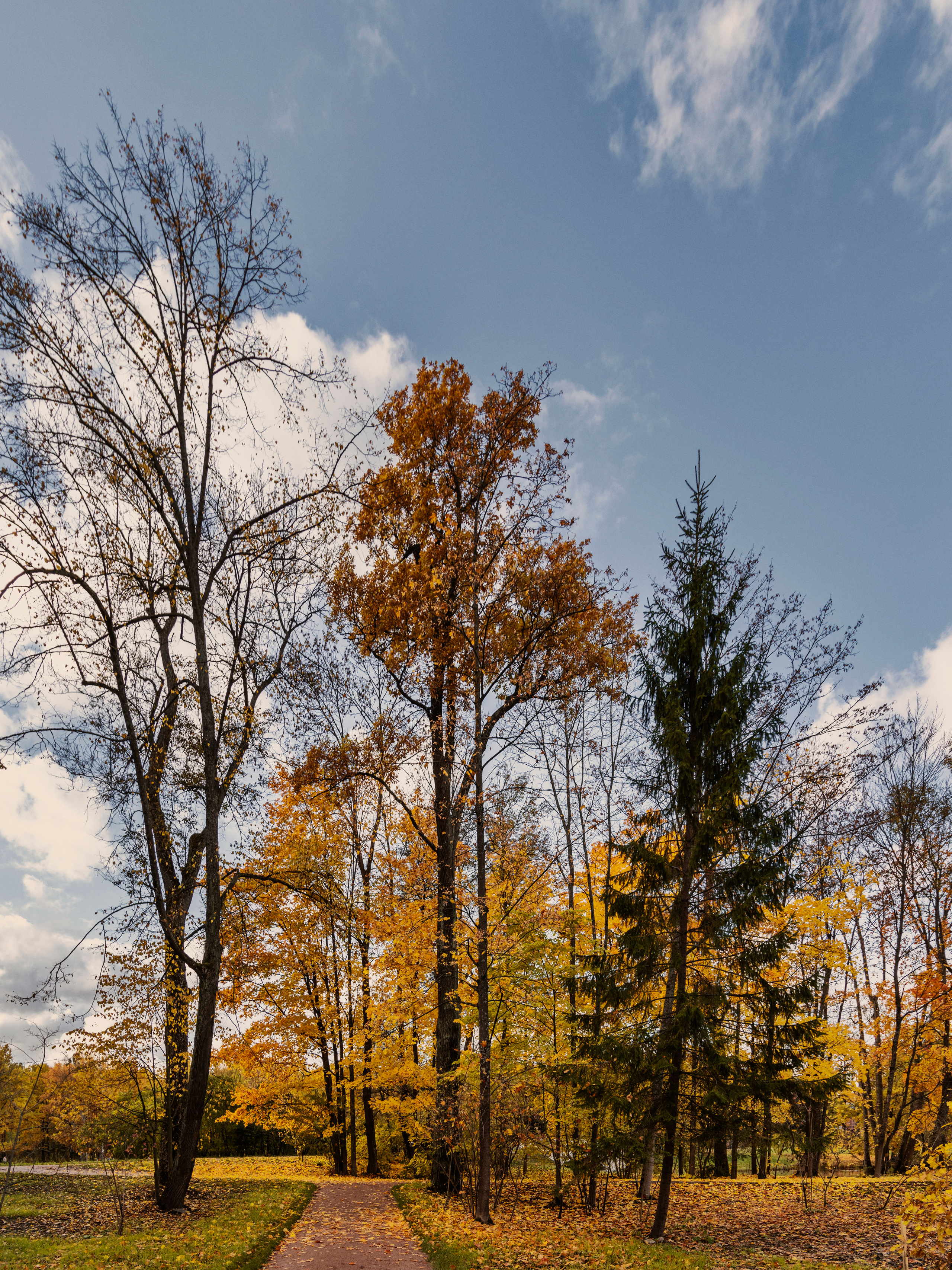 Царское село. Пейзажный и семейный фотограф в Санкт-Петербурге Александр Белов