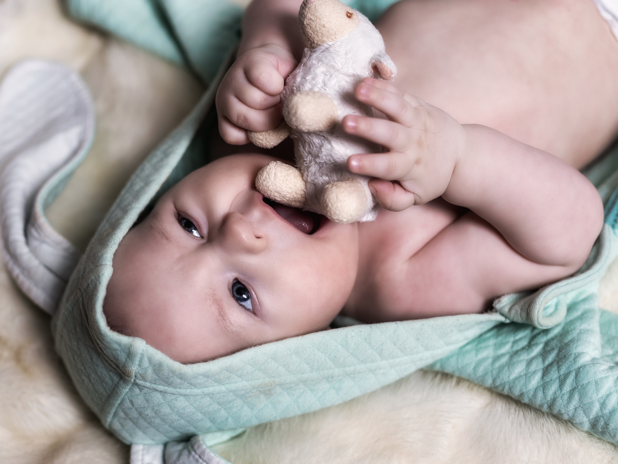 Семейные. Пейзажный и семейный фотограф в Санкт-Петербурге Александр Белов