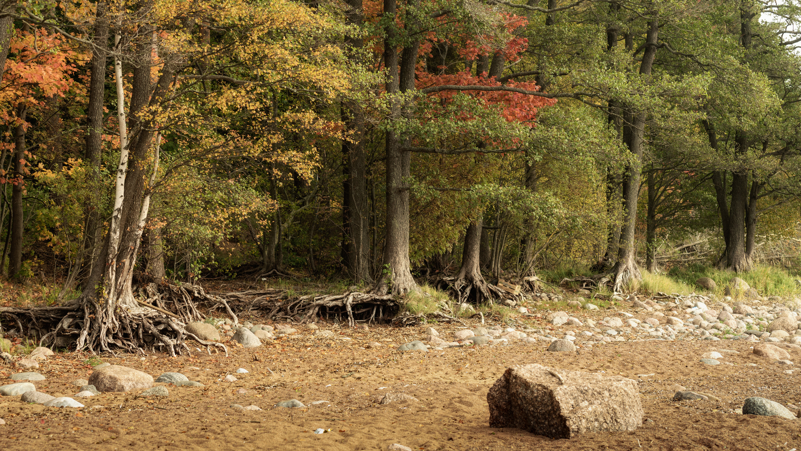 Пейзажи. Пейзажный и семейный фотограф в Санкт-Петербурге Александр Белов