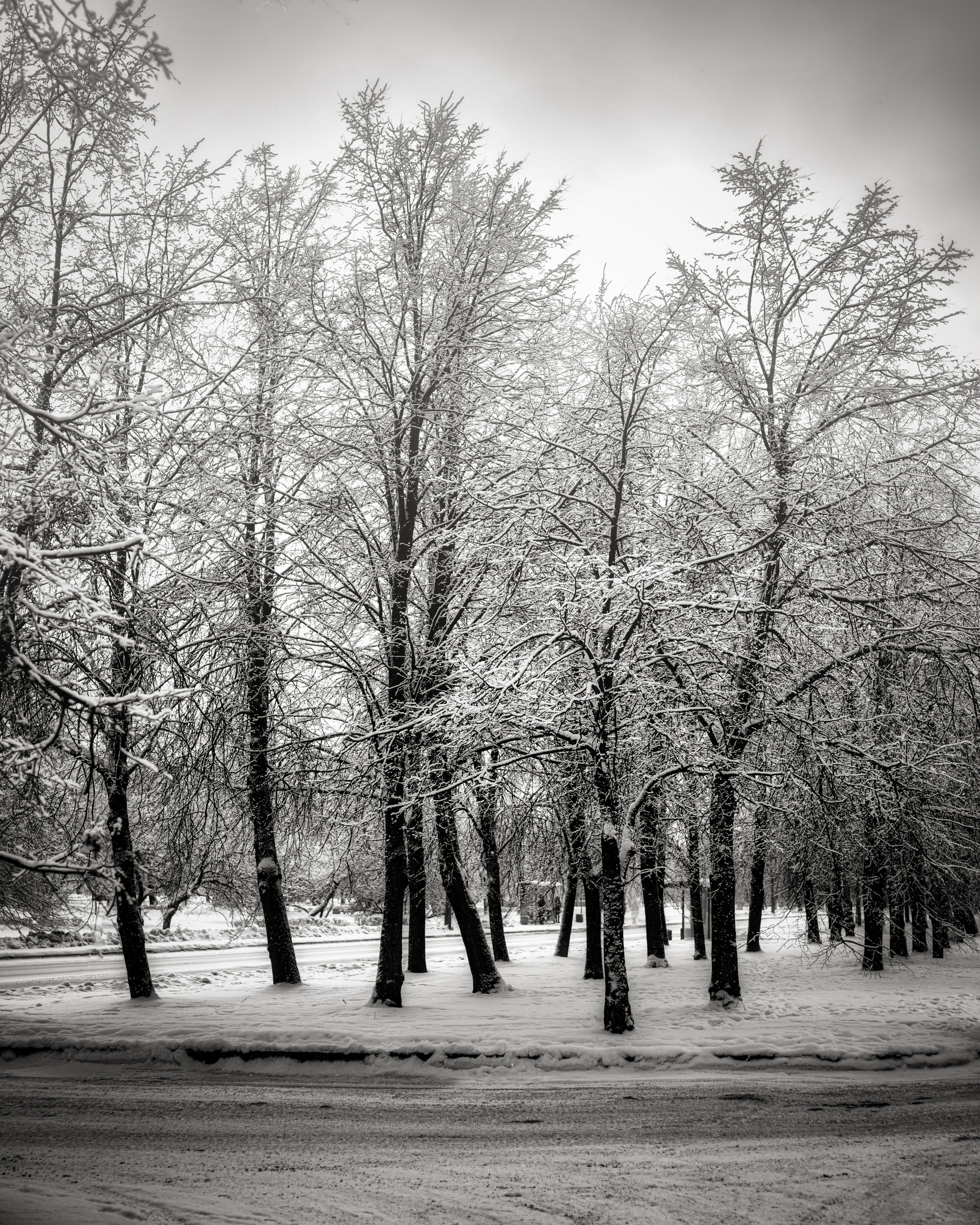 Пейзажи. Пейзажный и семейный фотограф в Санкт-Петербурге Александр Белов