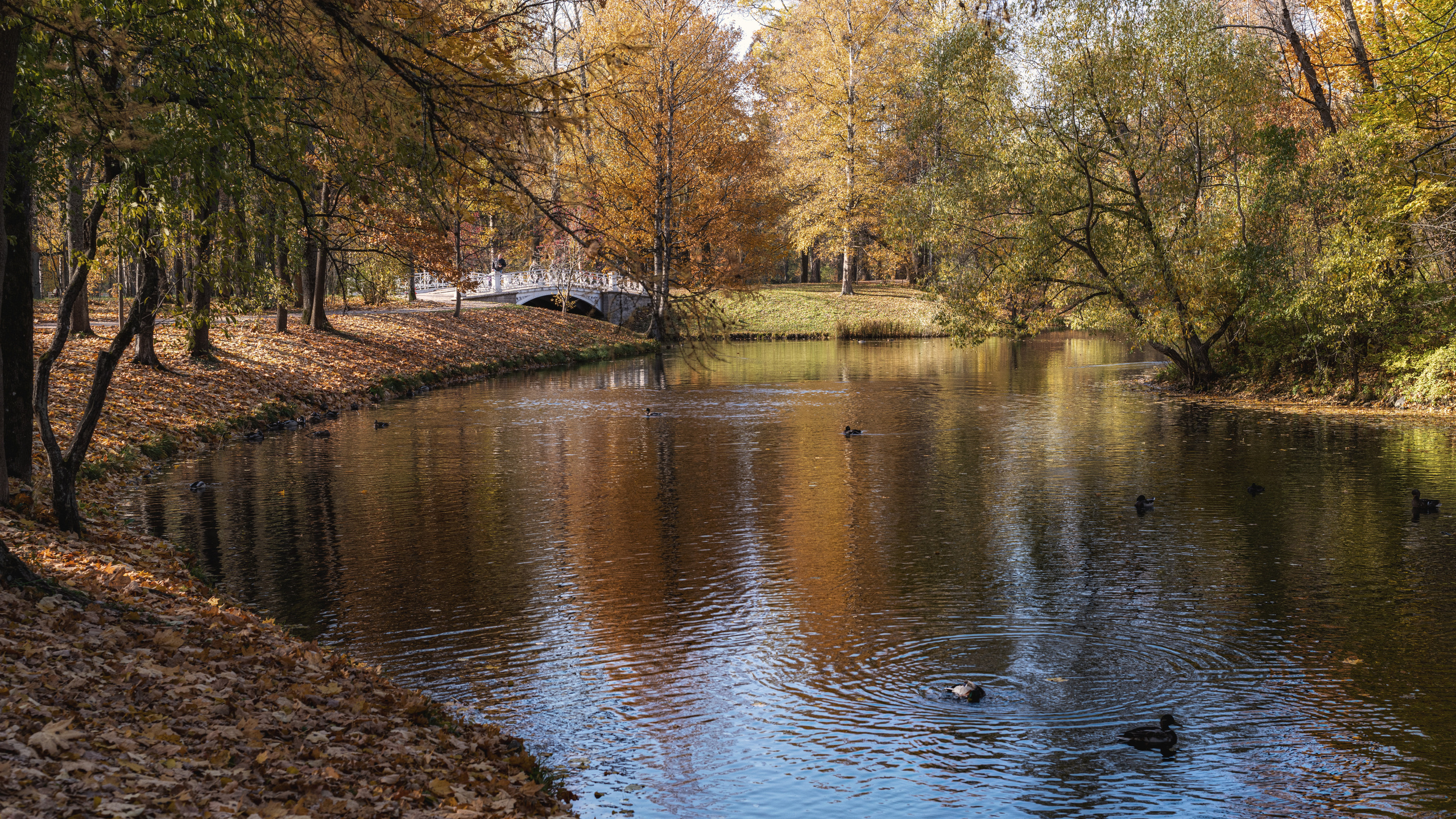 Пейзажи. Пейзажный и семейный фотограф в Санкт-Петербурге Александр Белов