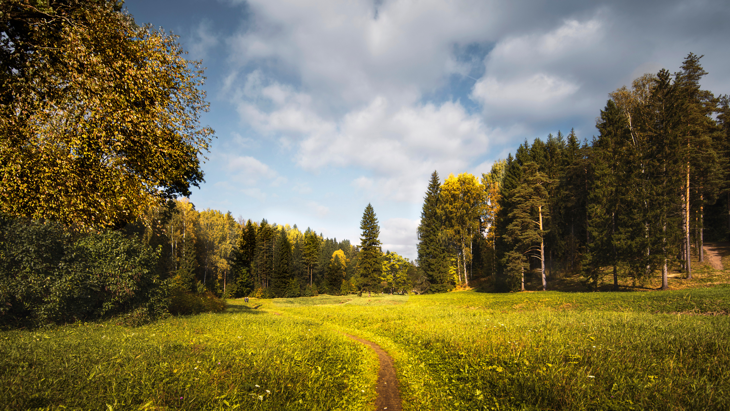 Пейзажи. Пейзажный и семейный фотограф в Санкт-Петербурге Александр Белов