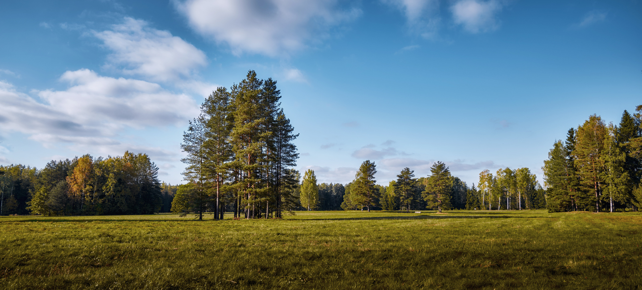 Павловский парк. Пейзажный и семейный фотограф в Санкт-Петербурге Александр Белов