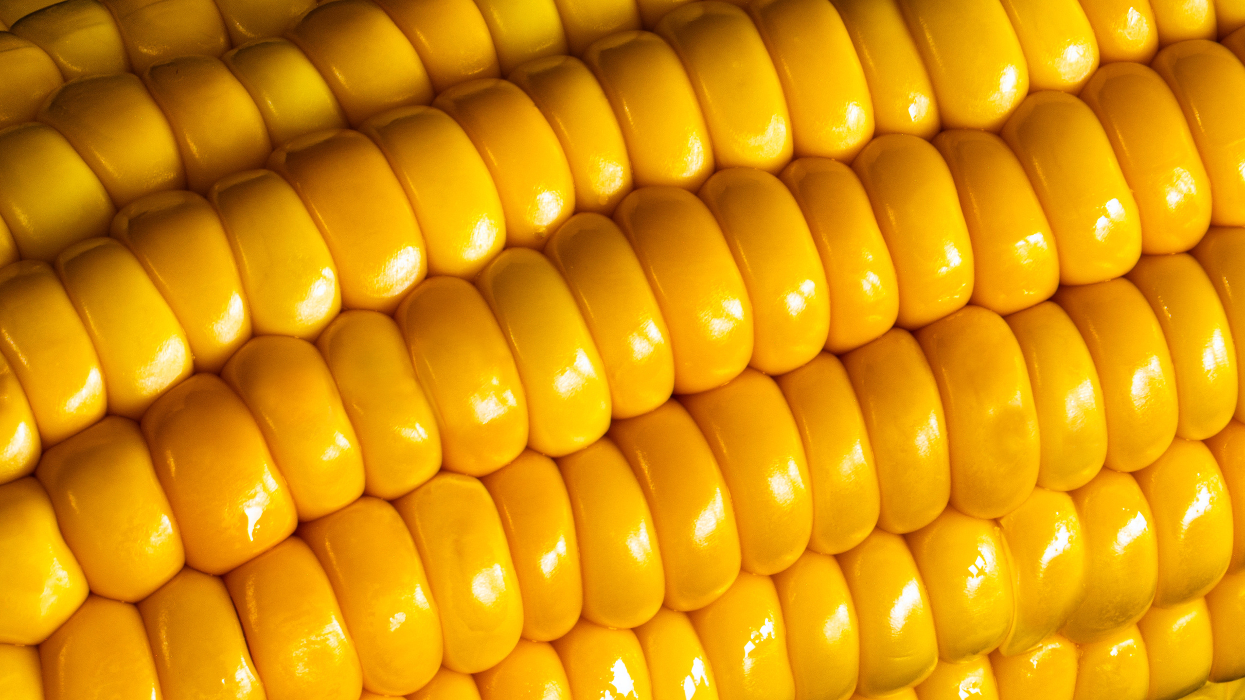 Food съемка. Пейзажный и семейный фотограф в Санкт-Петербурге Александр Белов