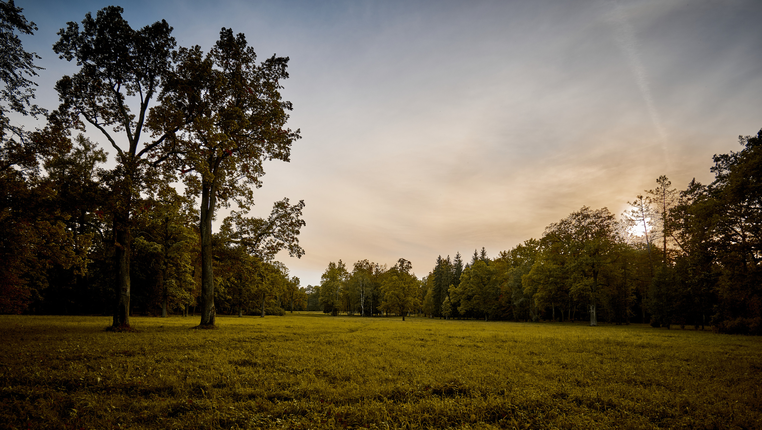 Царское село. Пейзажный и семейный фотограф в Санкт-Петербурге Александр Белов