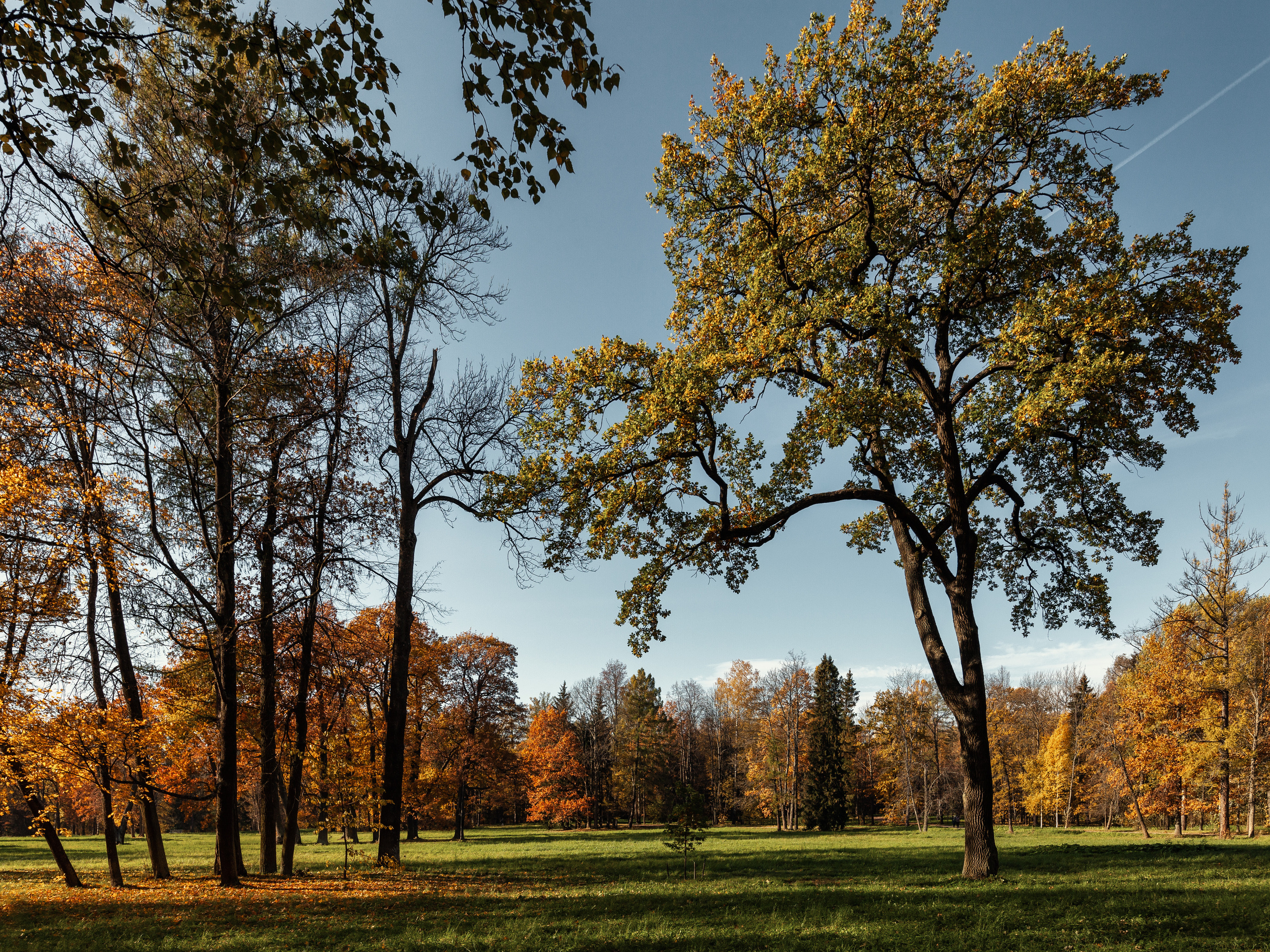 Царское село. Пейзажный и семейный фотограф в Санкт-Петербурге Александр Белов