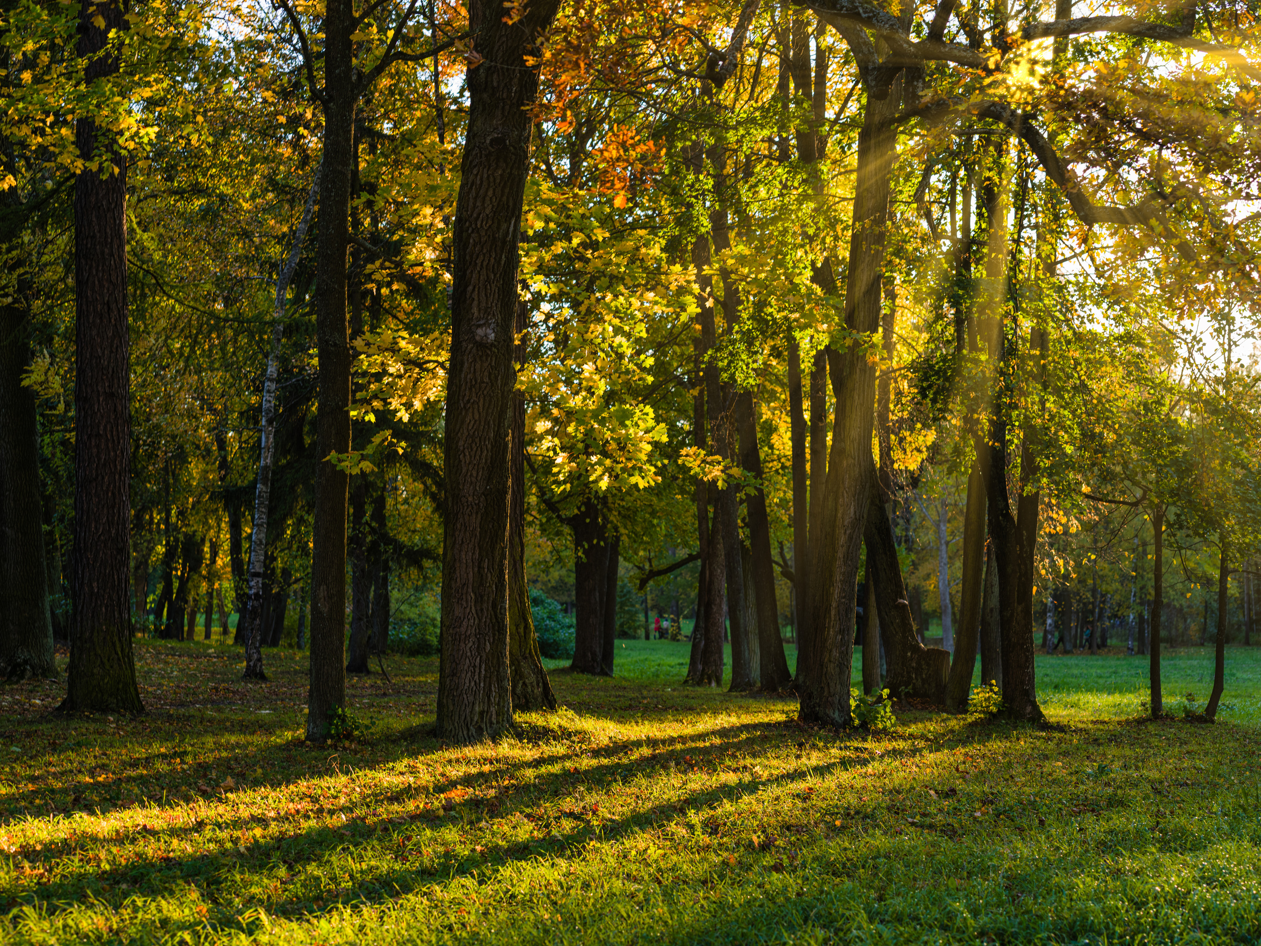 Царское село. Пейзажный и семейный фотограф в Санкт-Петербурге Александр Белов
