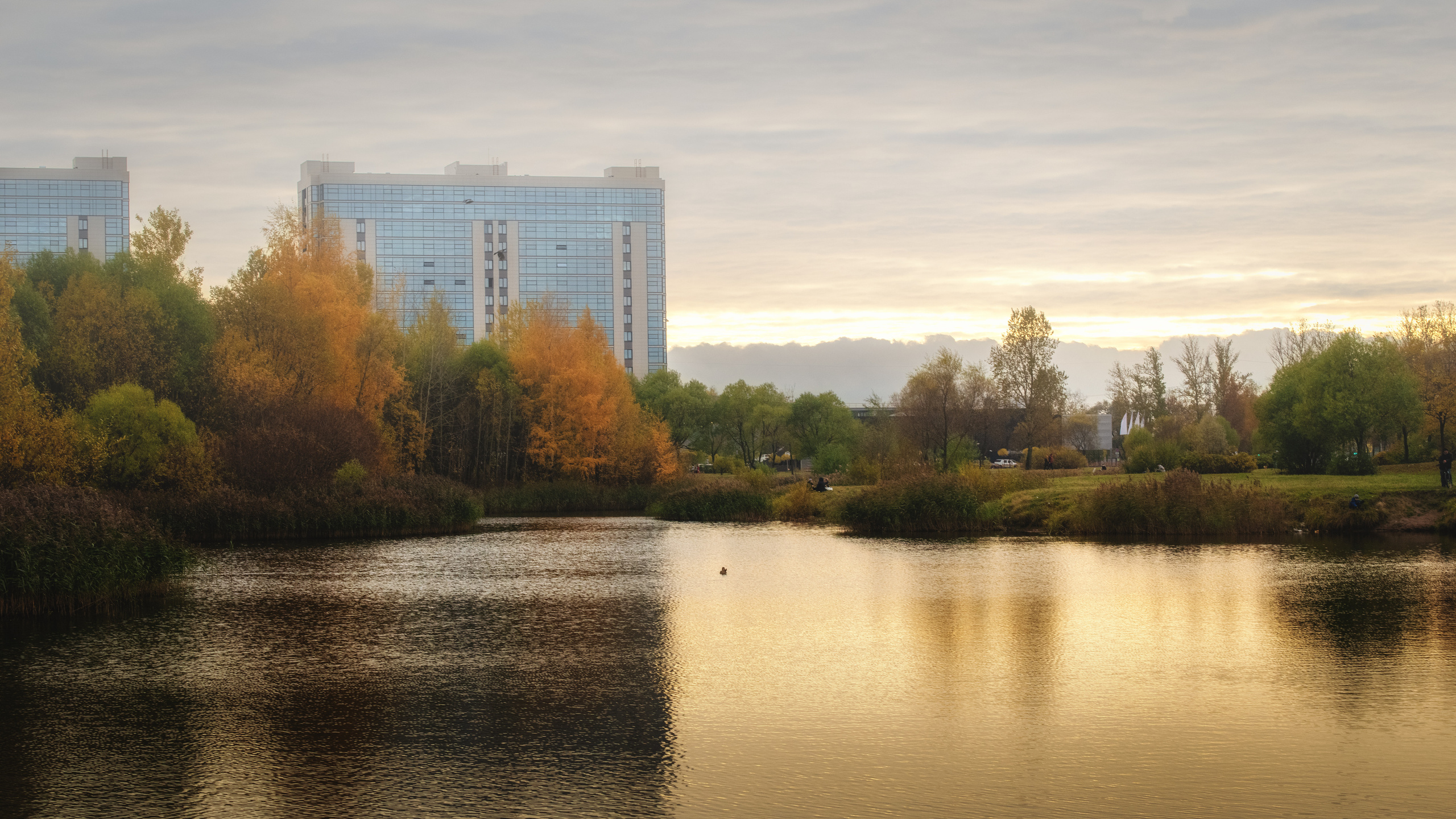 Пулковский парк. Пейзажный и семейный фотограф в Санкт-Петербурге Александр Белов