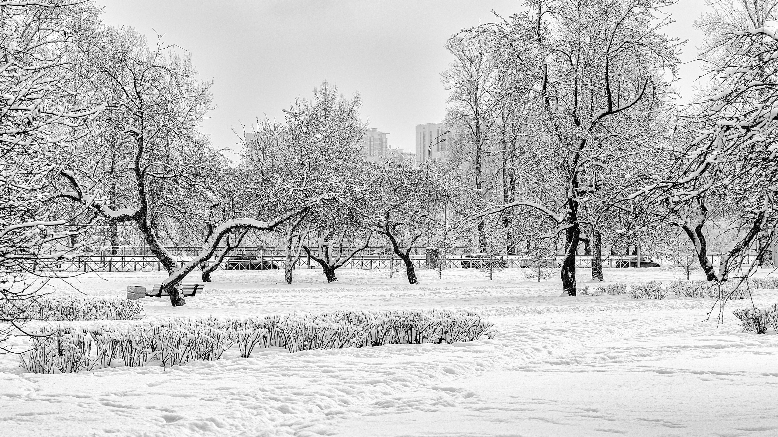 Пейзажи. Пейзажный и семейный фотограф в Санкт-Петербурге Александр Белов