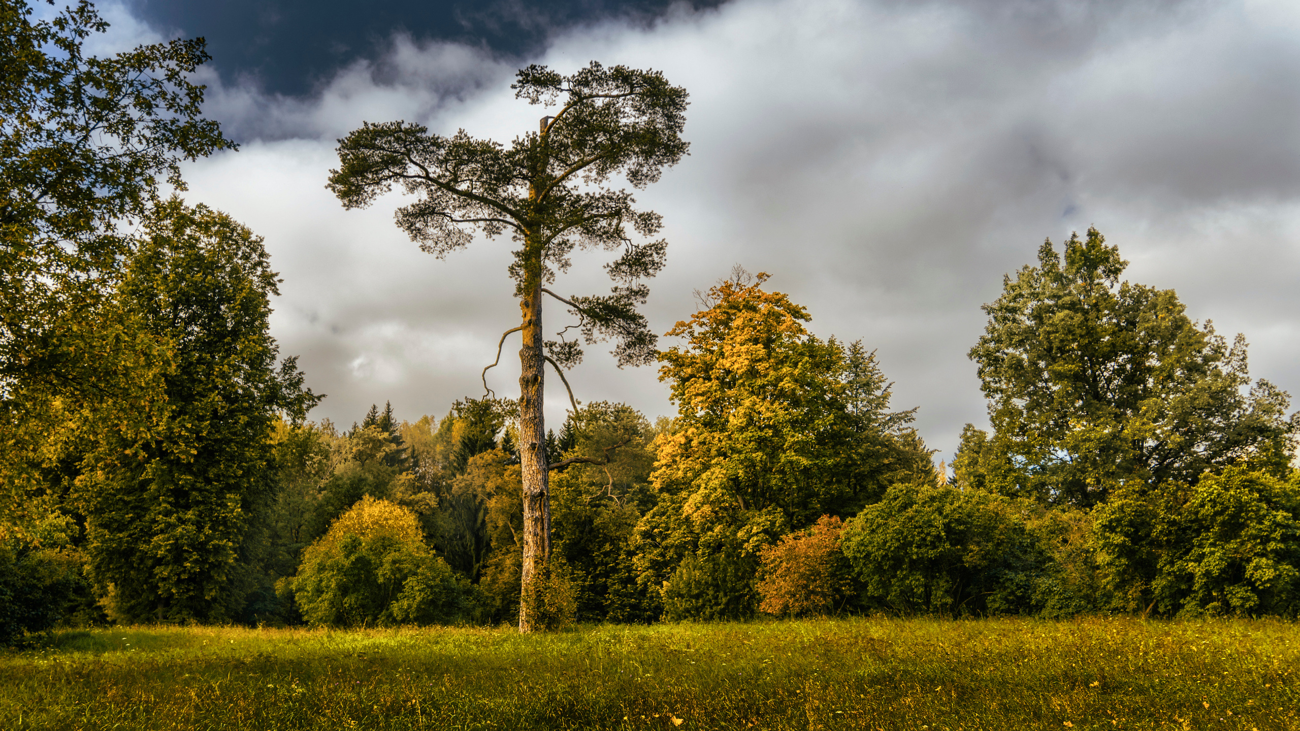 Павловский парк. Пейзажный и семейный фотограф в Санкт-Петербурге Александр Белов