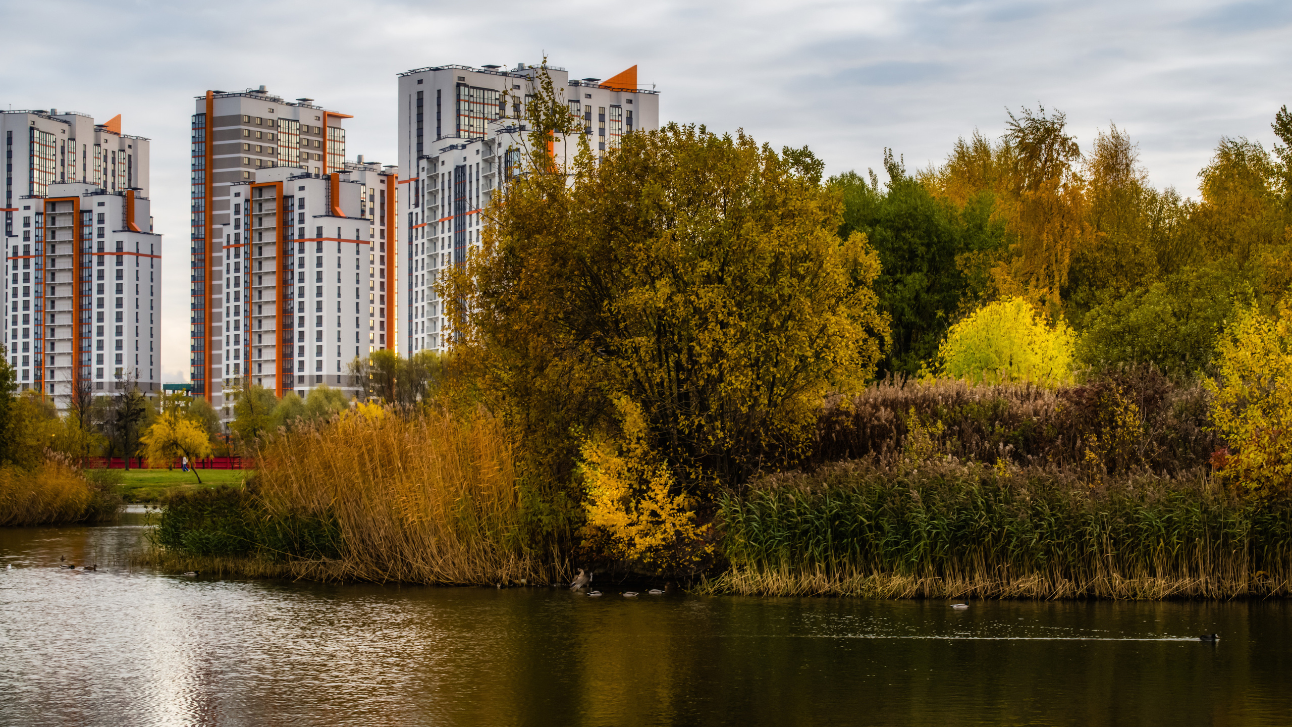Пулковский парк. Пейзажный и семейный фотограф в Санкт-Петербурге Александр Белов