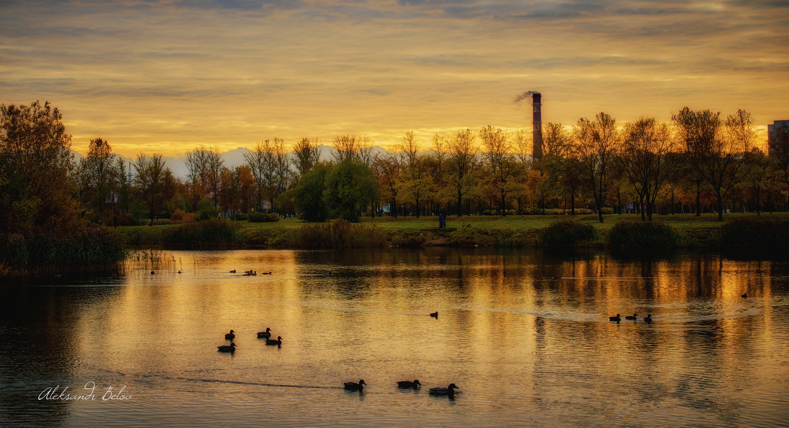 Пулковский парк. Пейзажный и семейный фотограф в Санкт-Петербурге Александр Белов