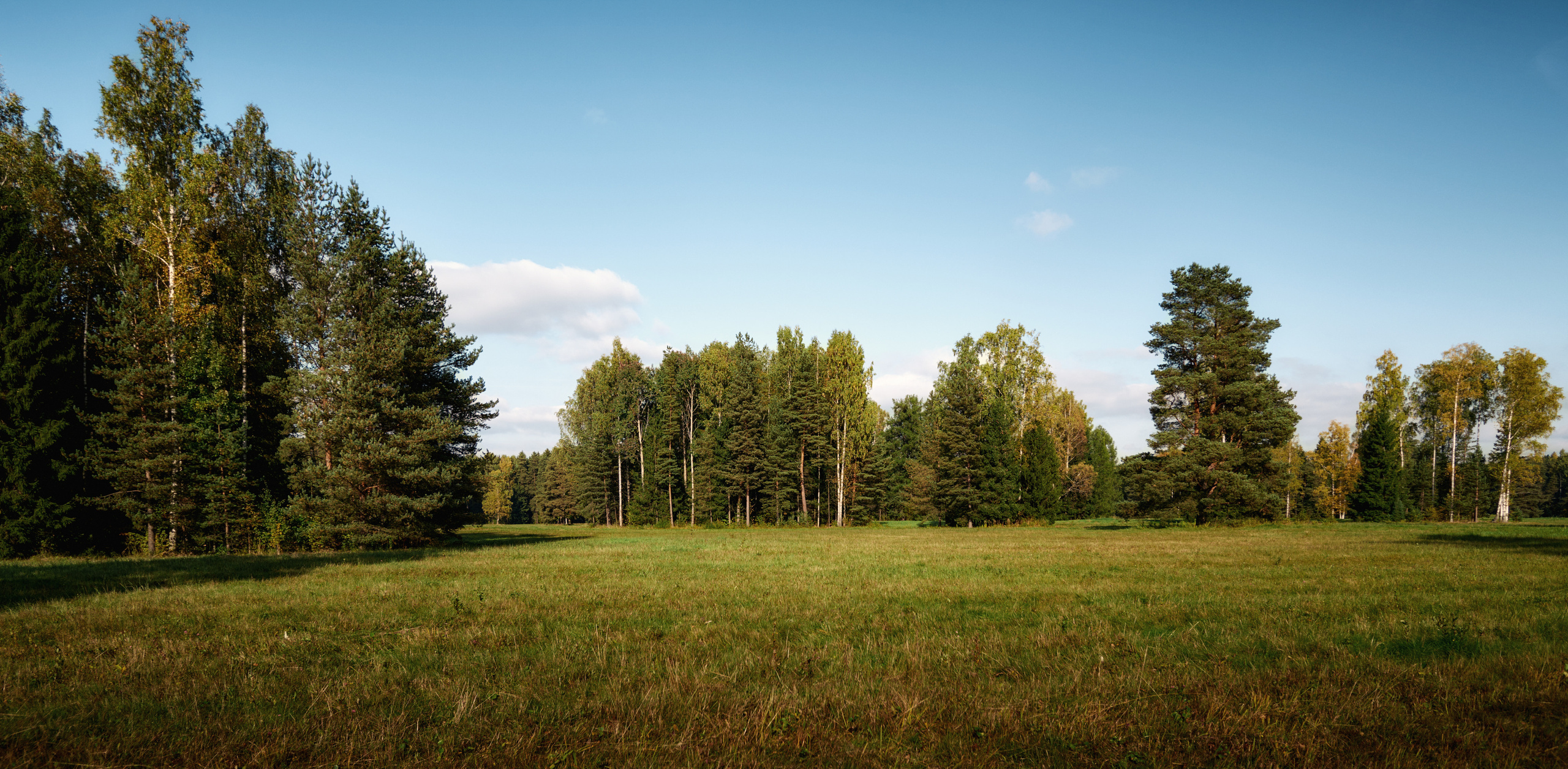 Павловский парк. Пейзажный и семейный фотограф в Санкт-Петербурге Александр Белов