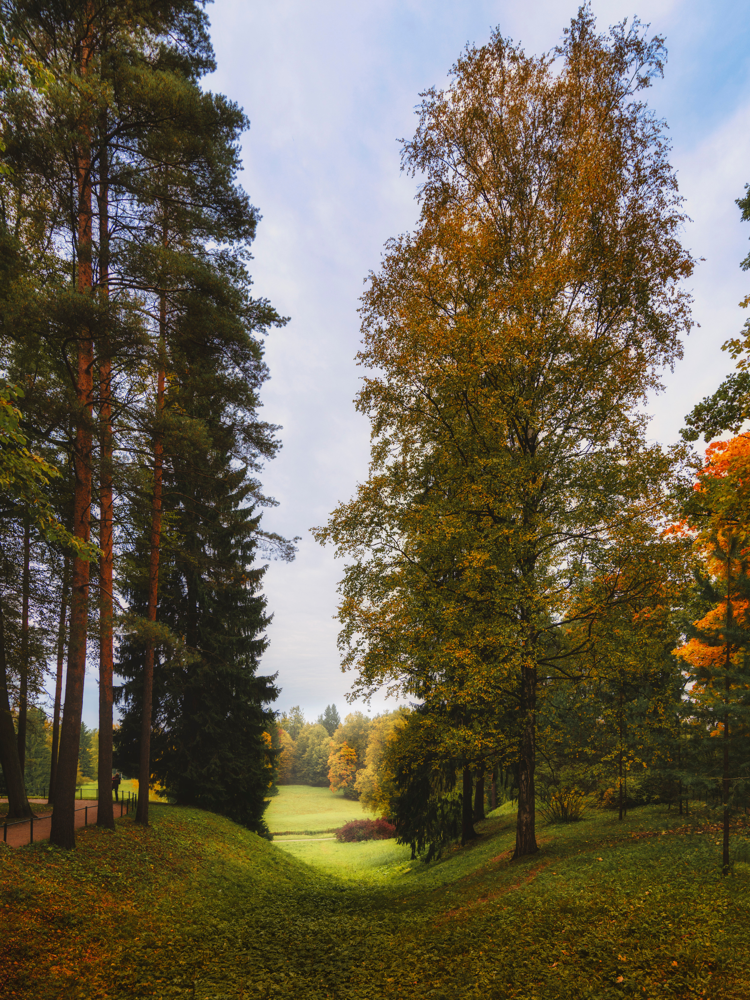 Павловский парк. Пейзажный и семейный фотограф в Санкт-Петербурге Александр Белов