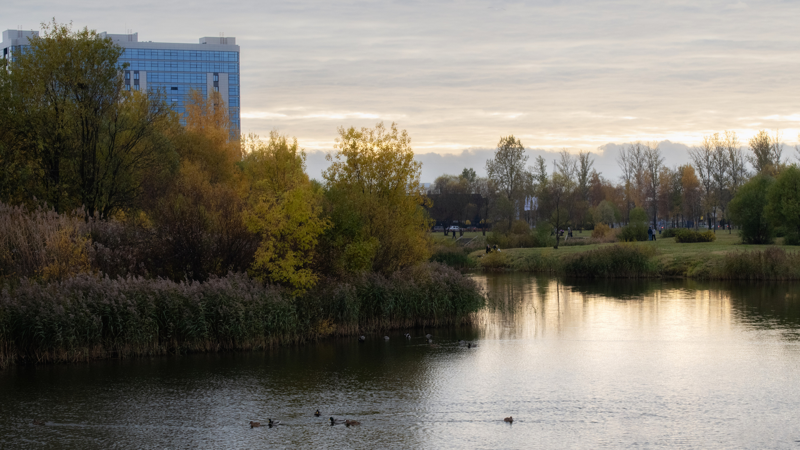 Пулковский парк. Пейзажный и семейный фотограф в Санкт-Петербурге Александр Белов