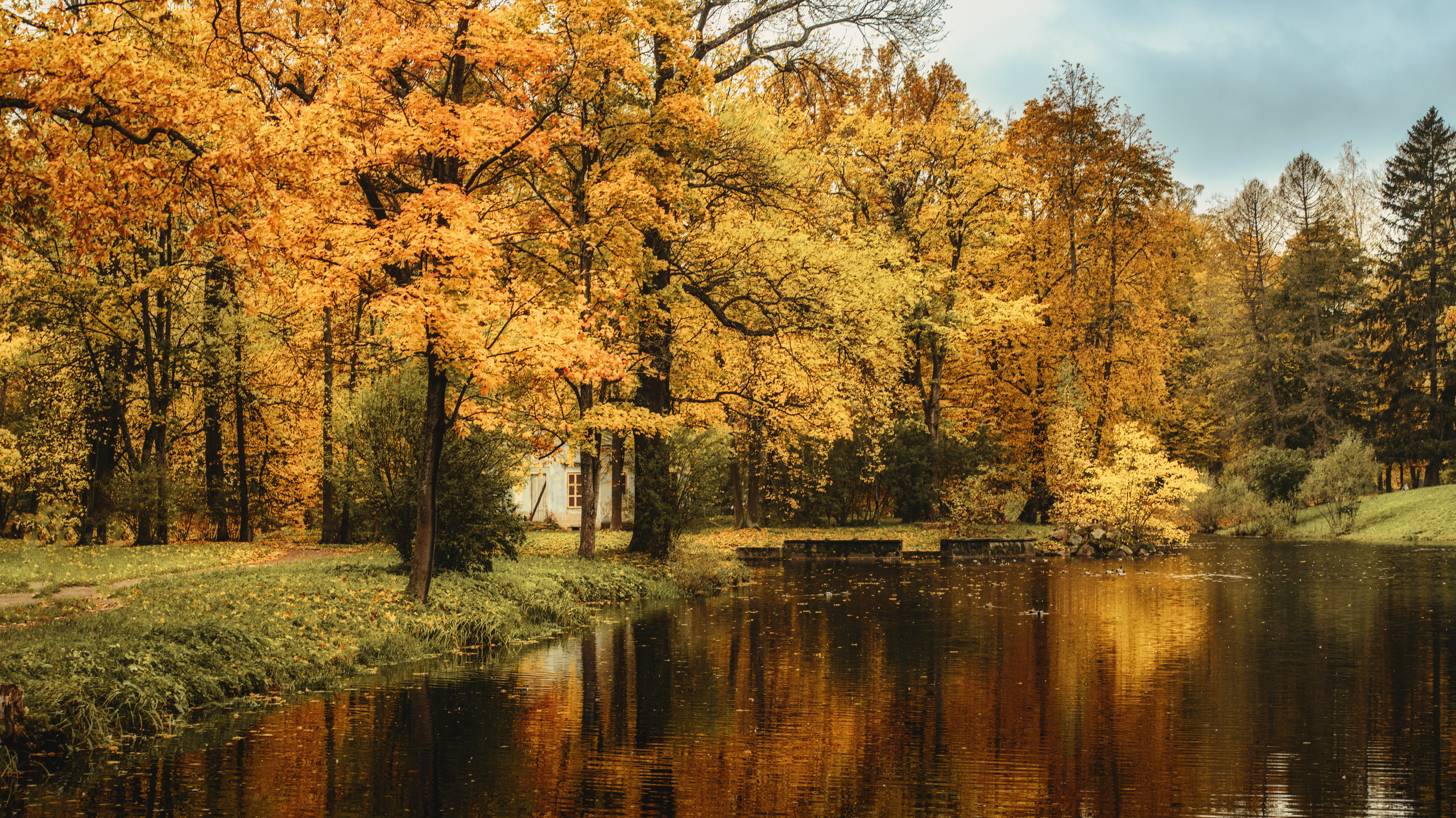 Пейзажи. Пейзажный и семейный фотограф в Санкт-Петербурге Александр Белов