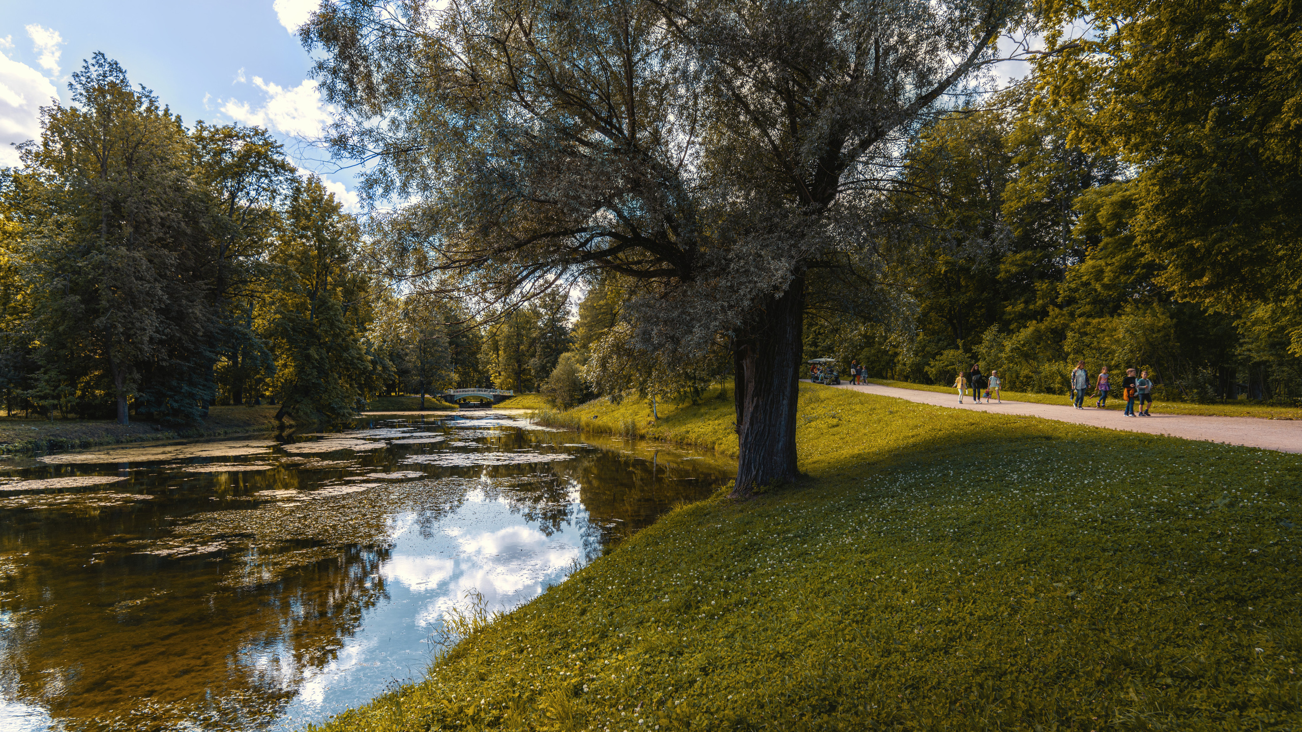 Пейзажи. Пейзажный и семейный фотограф в Санкт-Петербурге Александр Белов