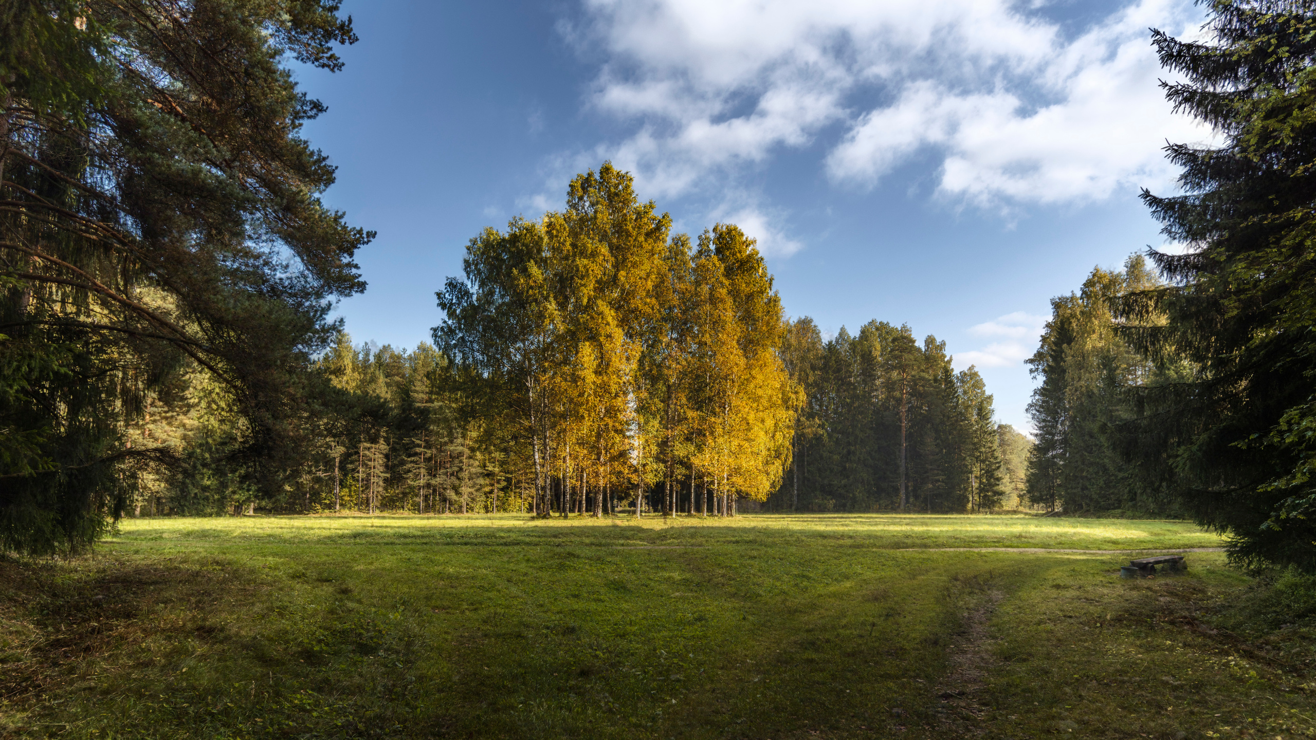 Павловский парк. Пейзажный и семейный фотограф в Санкт-Петербурге Александр Белов