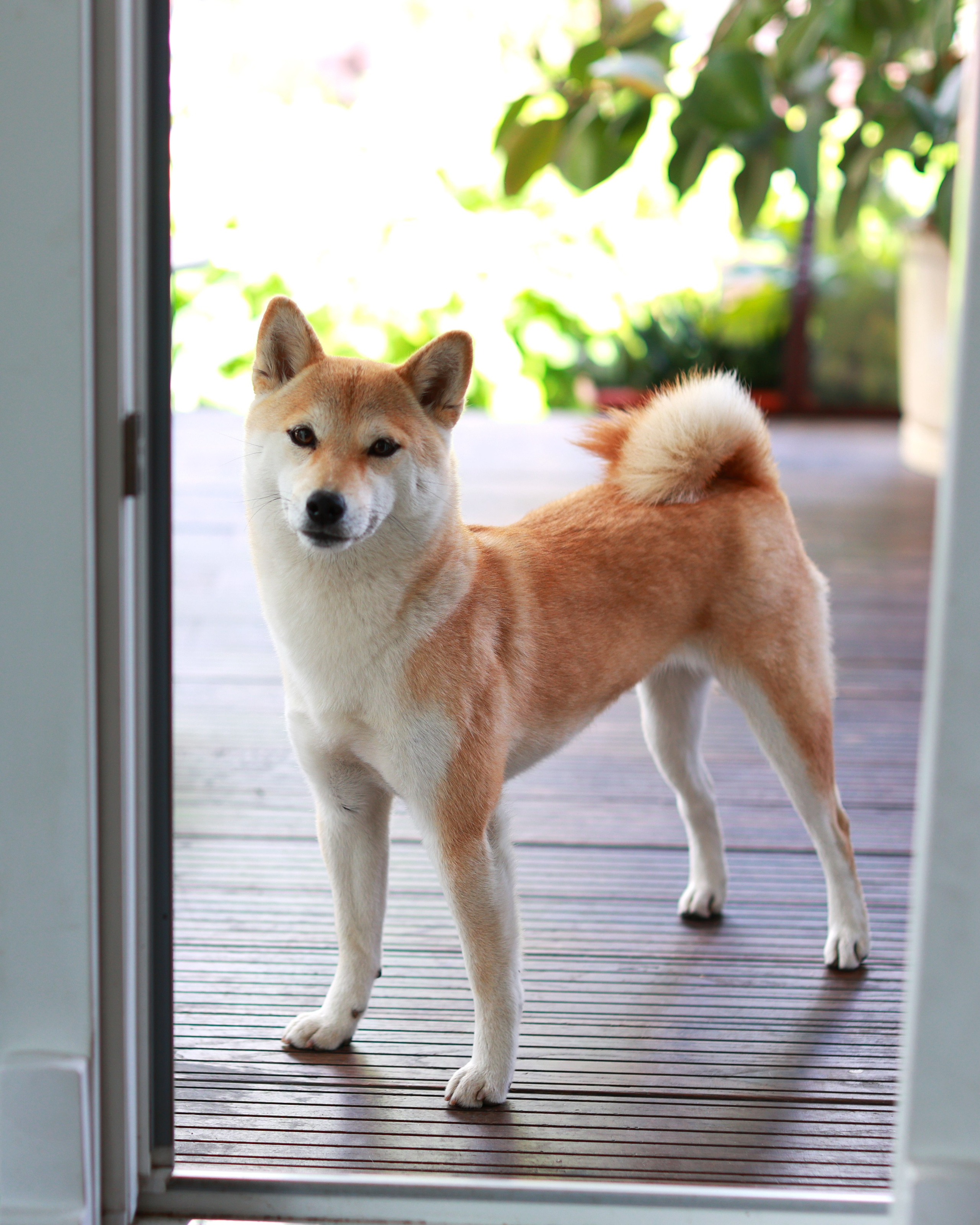 Семейная съемка Натальи. Семейный и детский фотограф в Москве Юлия